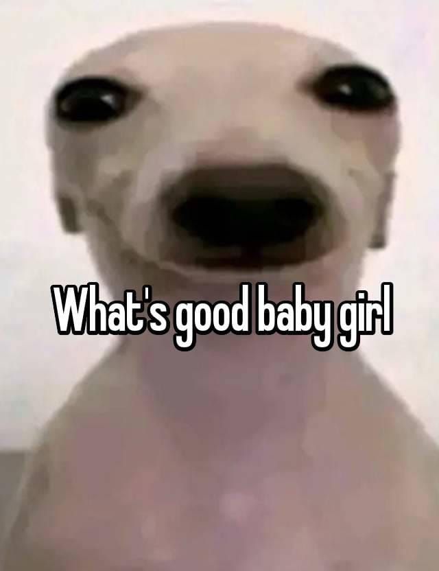 Image 55019 — Pets