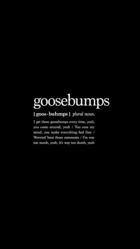Goosebumps Lyric Dictionary Entry