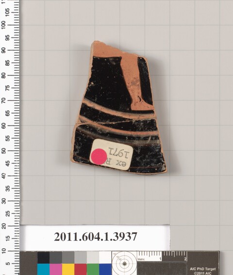 Museum Cataloged Pottery Shard