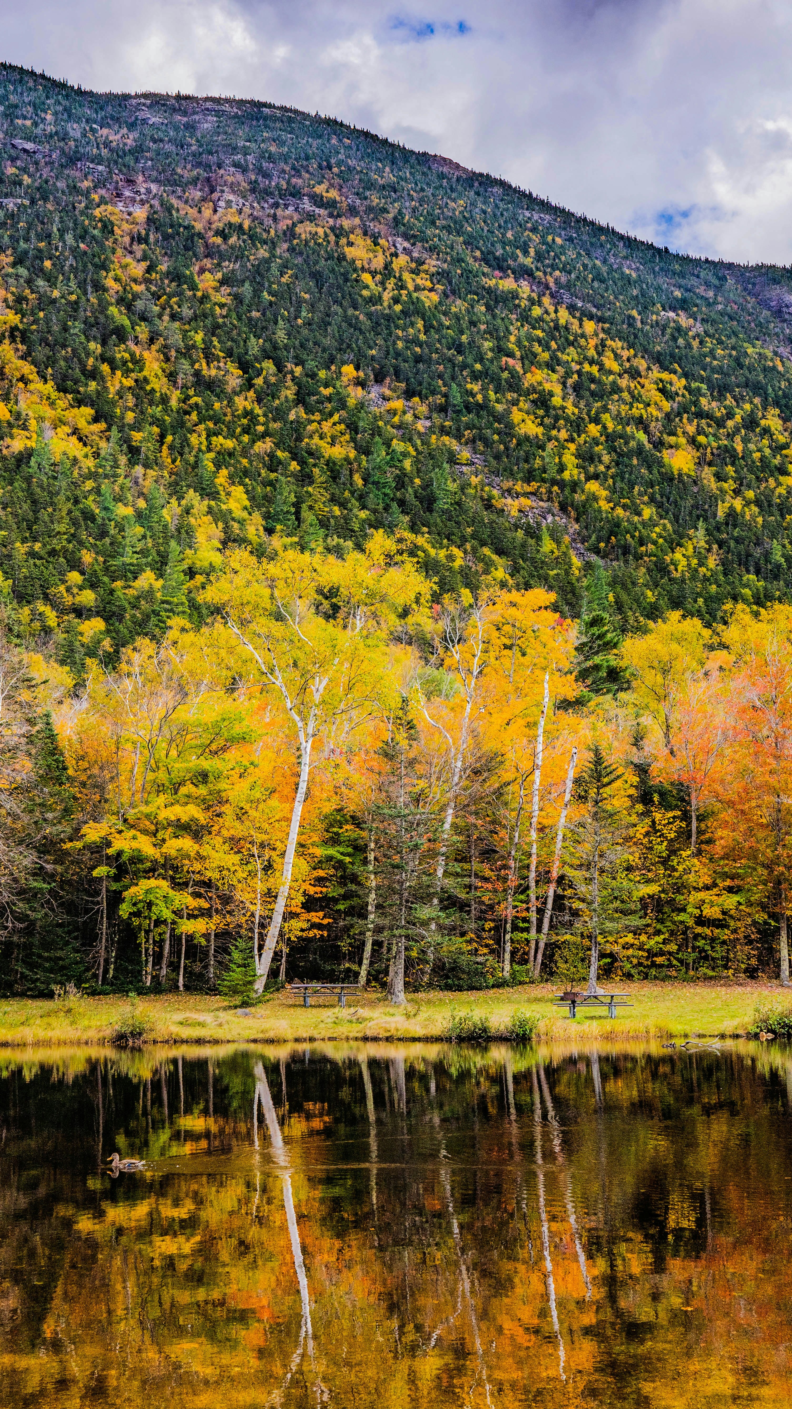 Autumn Mountain Lake Reflection
