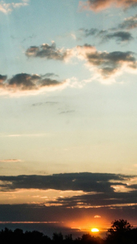 Sunset Over Tree Horizon