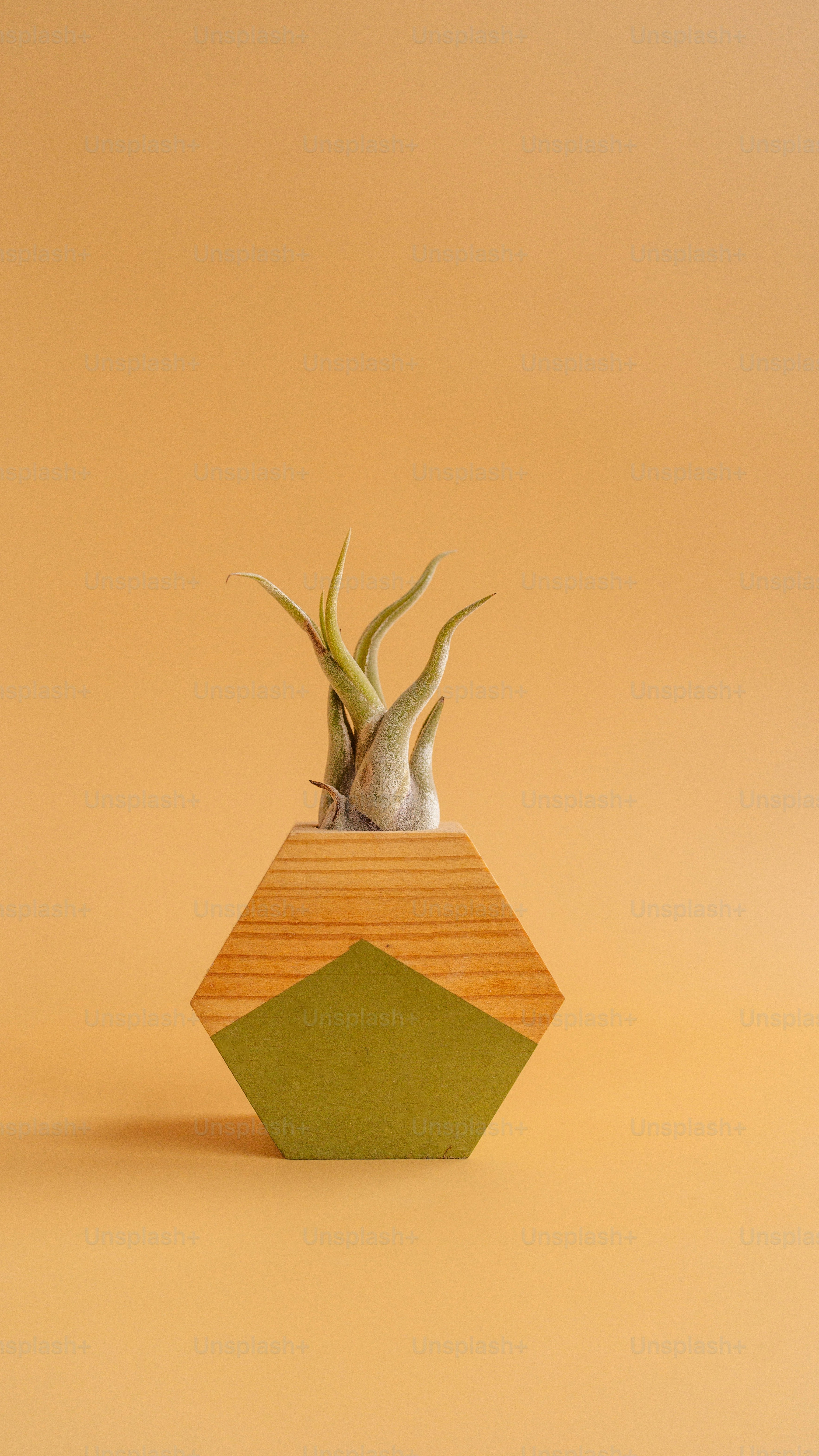 Home Decoration