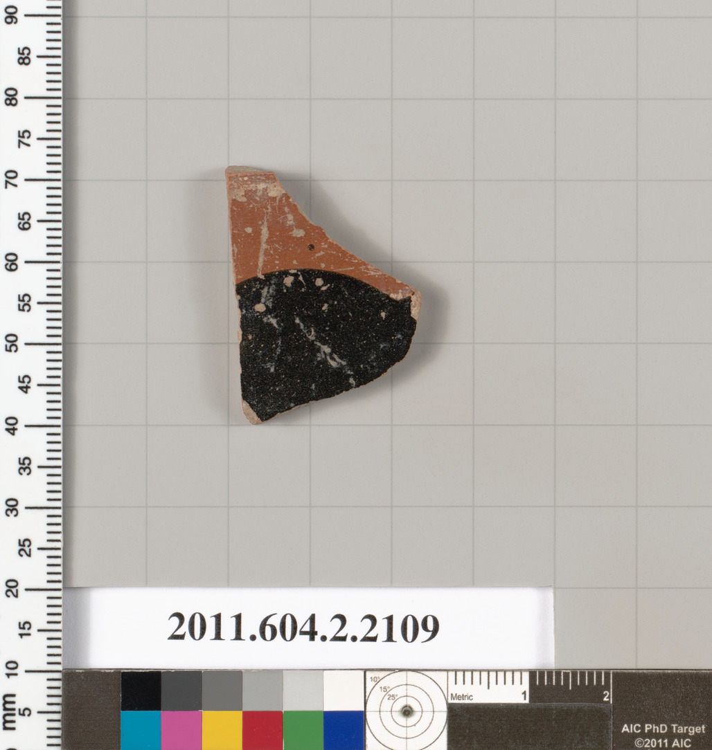 Ancient Pottery Fragment Specimen