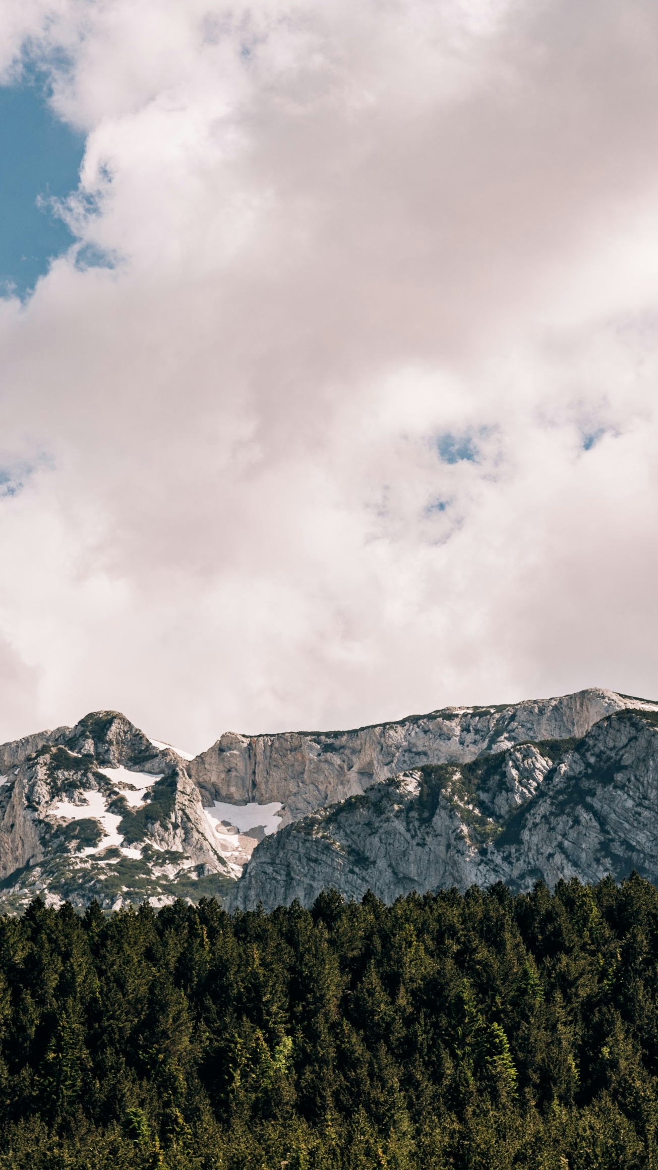 Snowy Rocky Mountain Forest Landscape