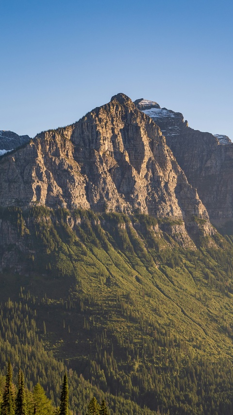Sunlit Rocky Mountain with Forested Slopes