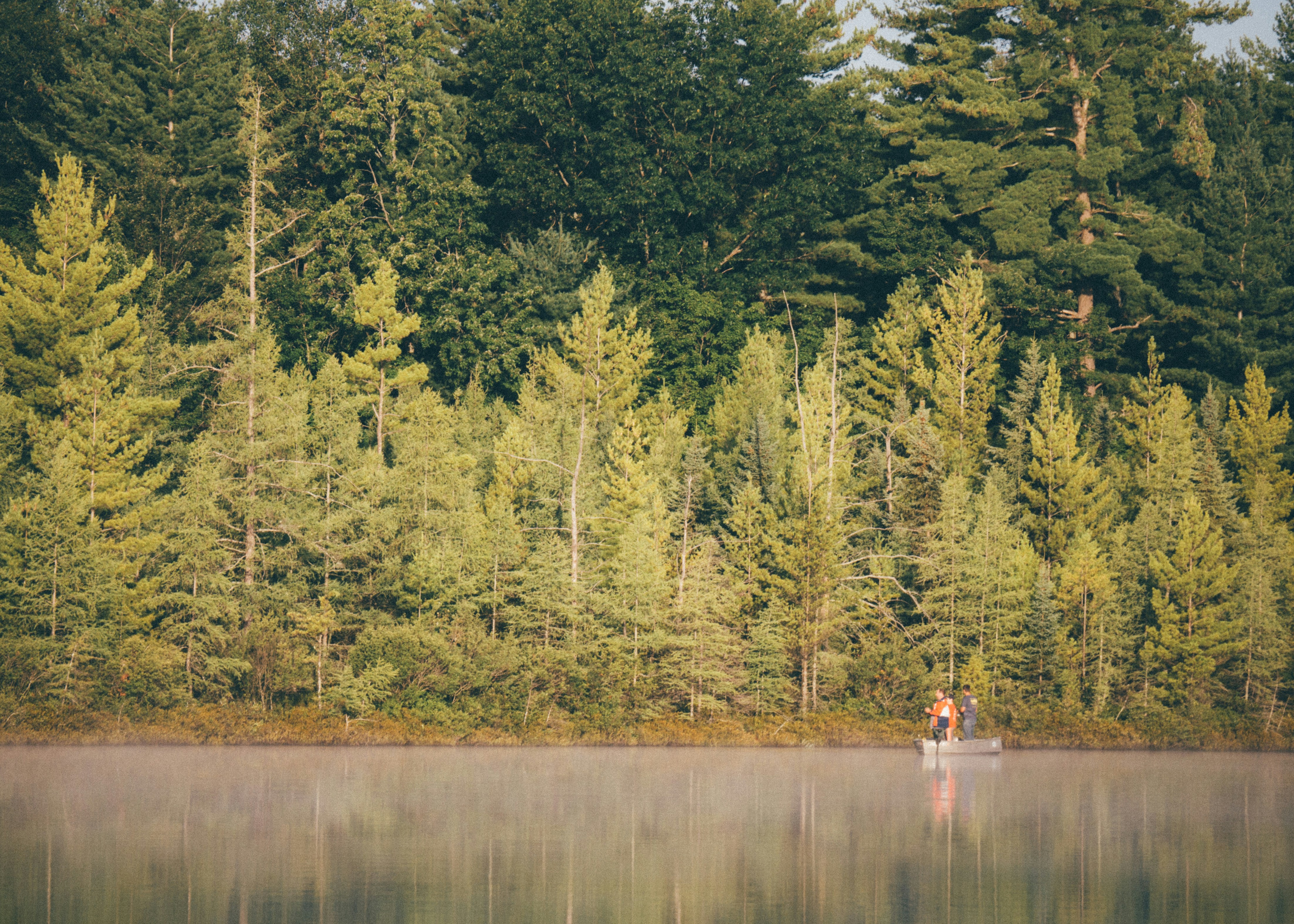 Canoe on Calm Lake by Forest