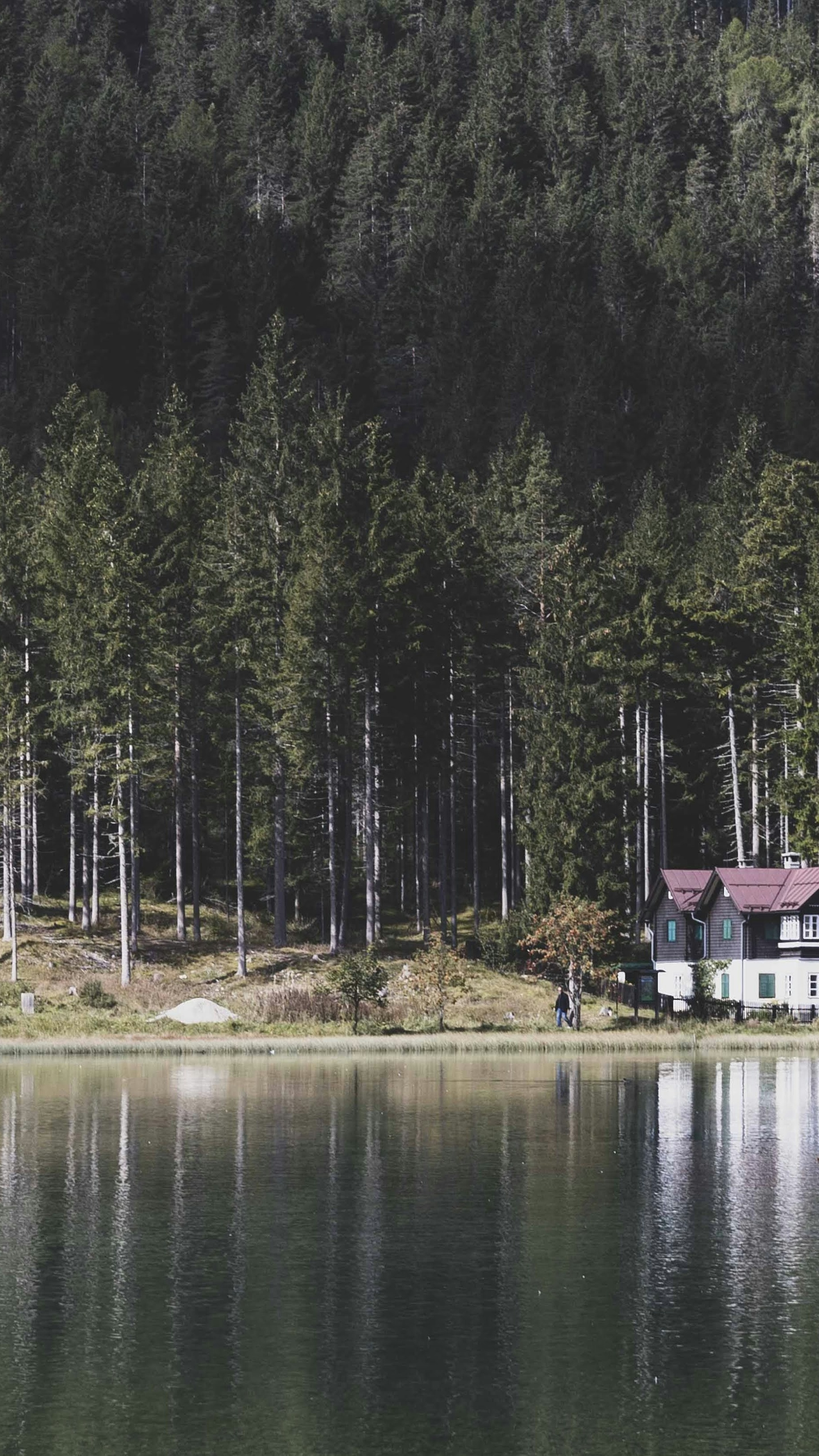 Lakeside Cabin by Dense Forest