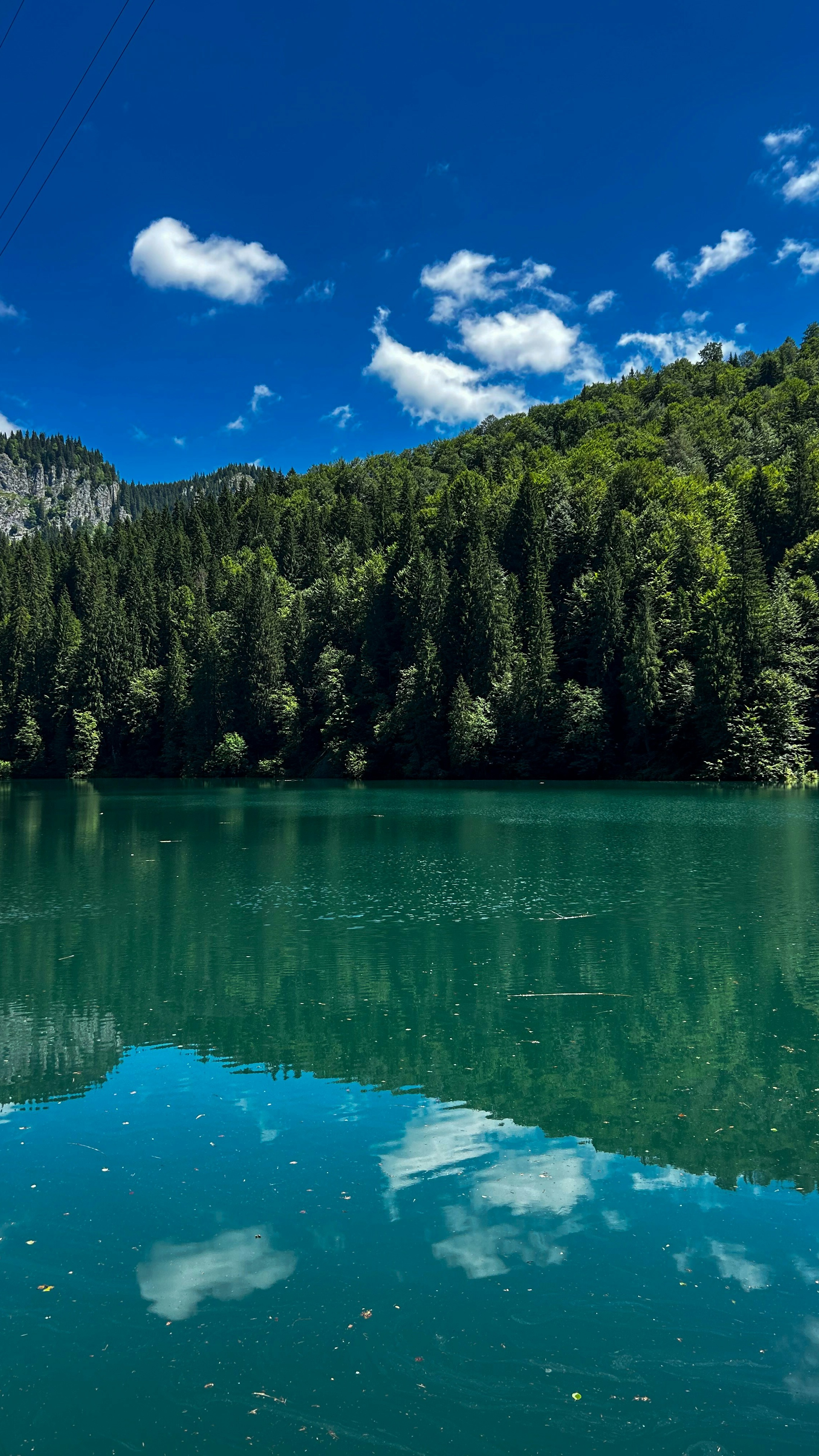Forested Mountain Lake Reflection