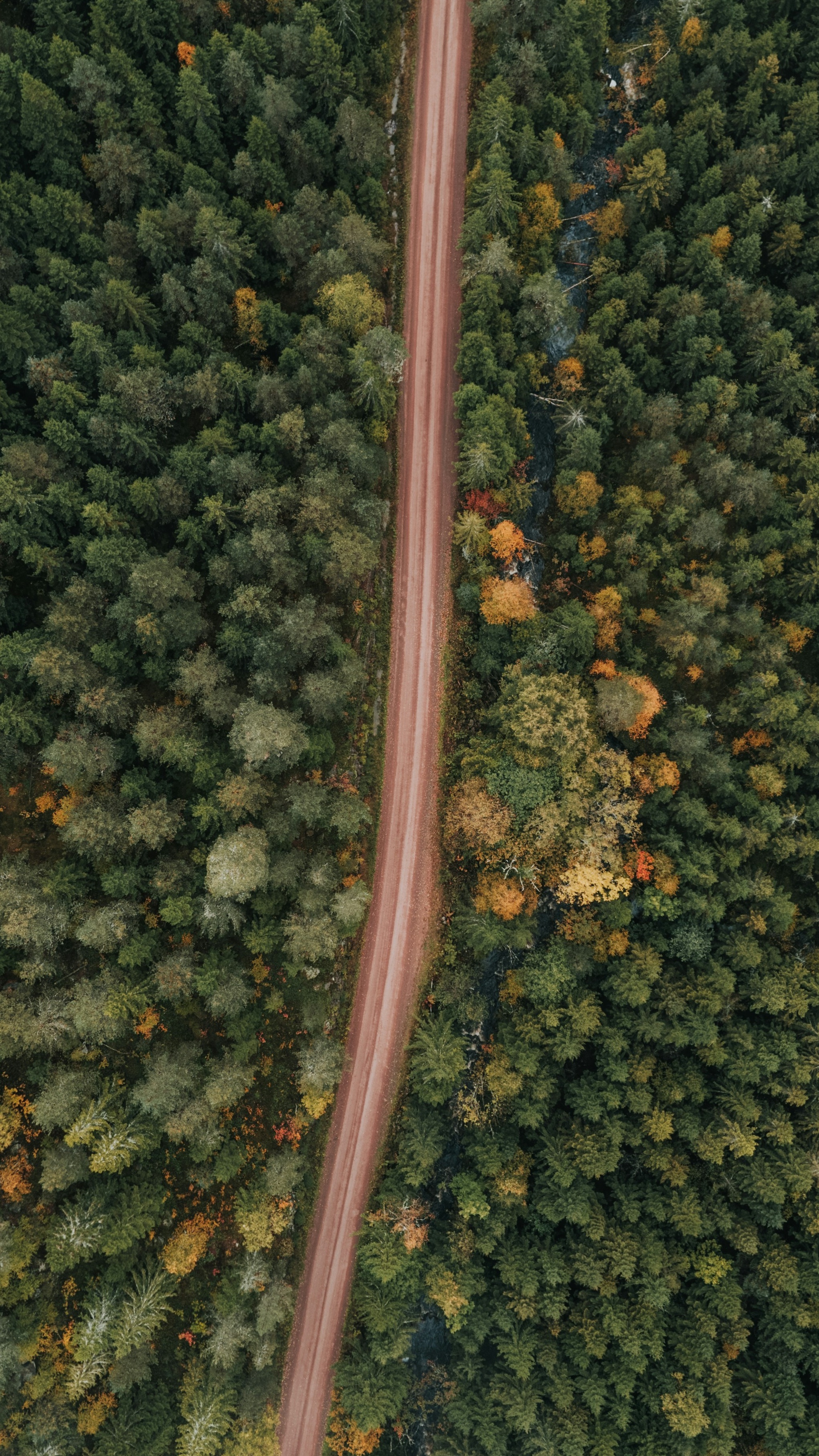 Wallpapers