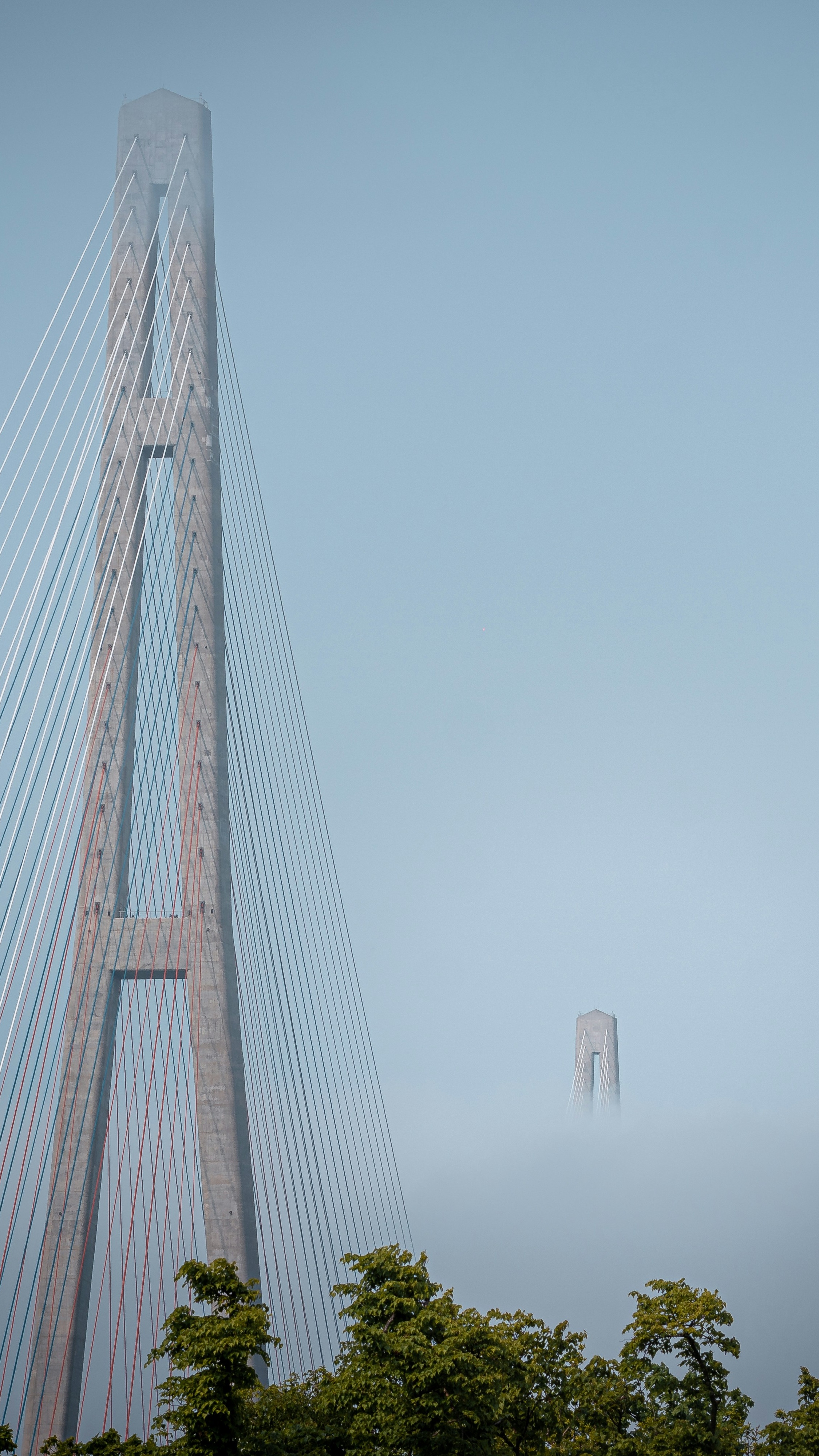 Cable-stayed Bridge Towers in Fog