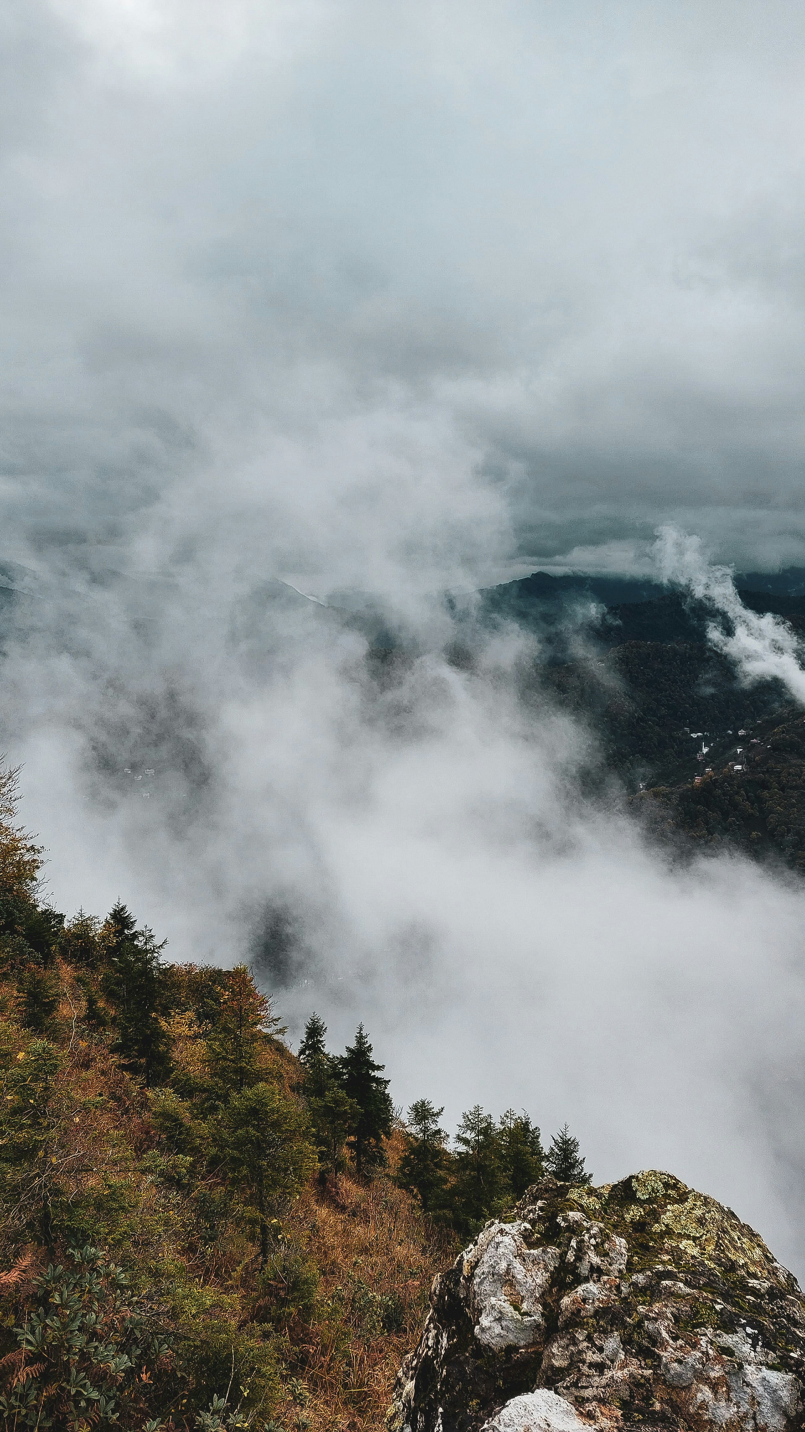 Landscapes