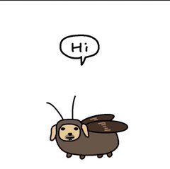 Dog Moth Saying Hi