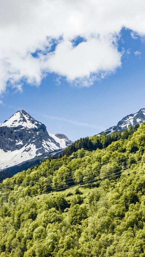 Snow-capped Mountain Forest Landscape
