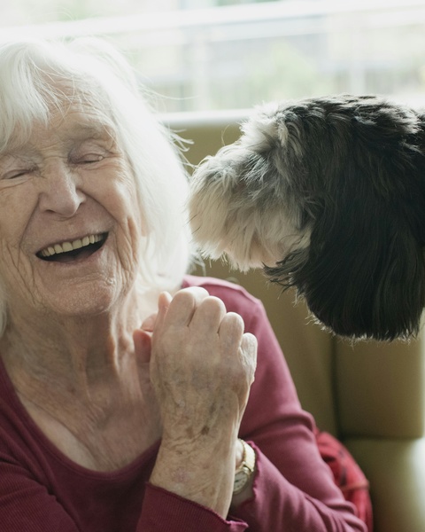 Laughing Elderly Woman With Pet Dog
