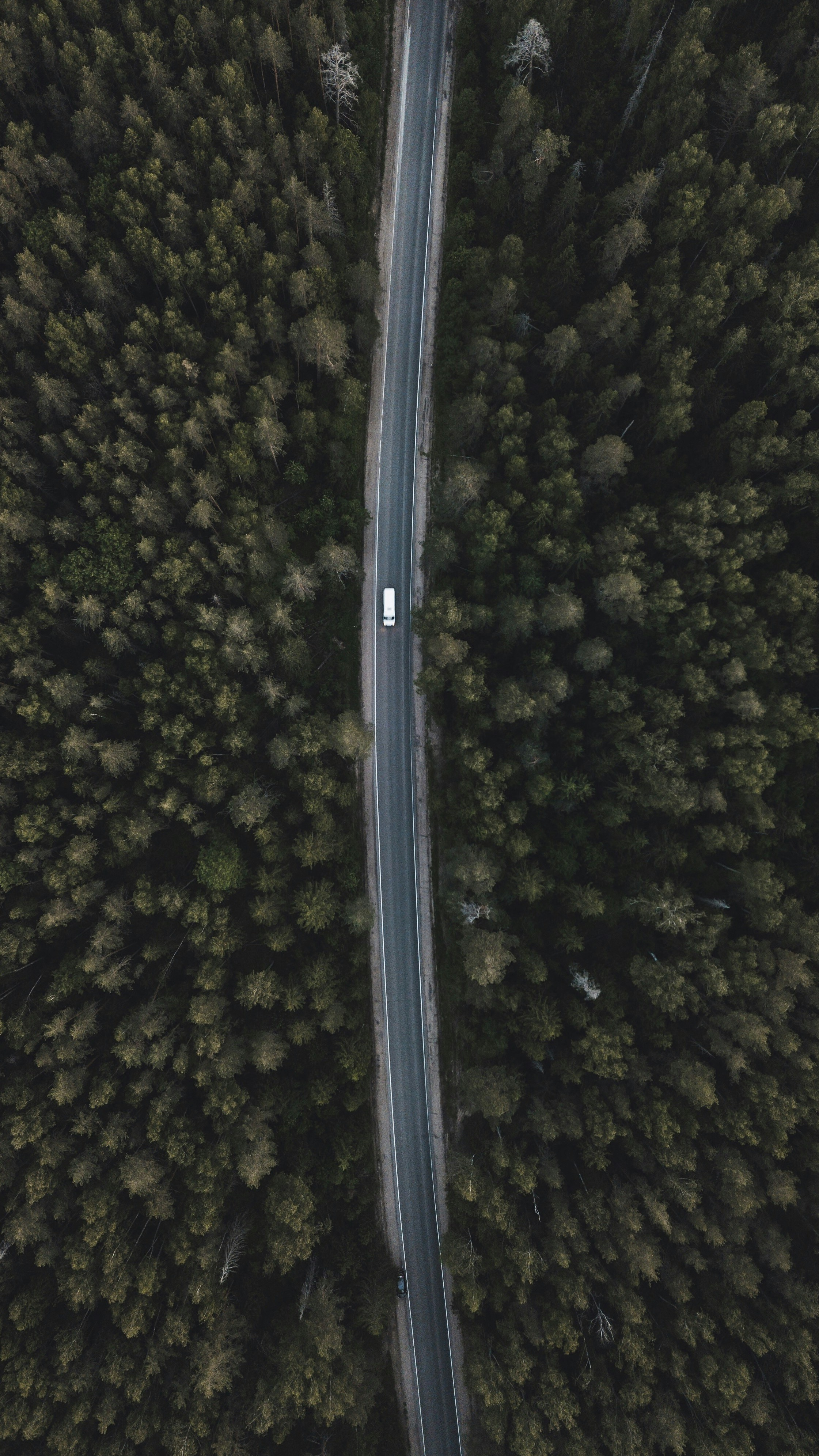 Wallpapers