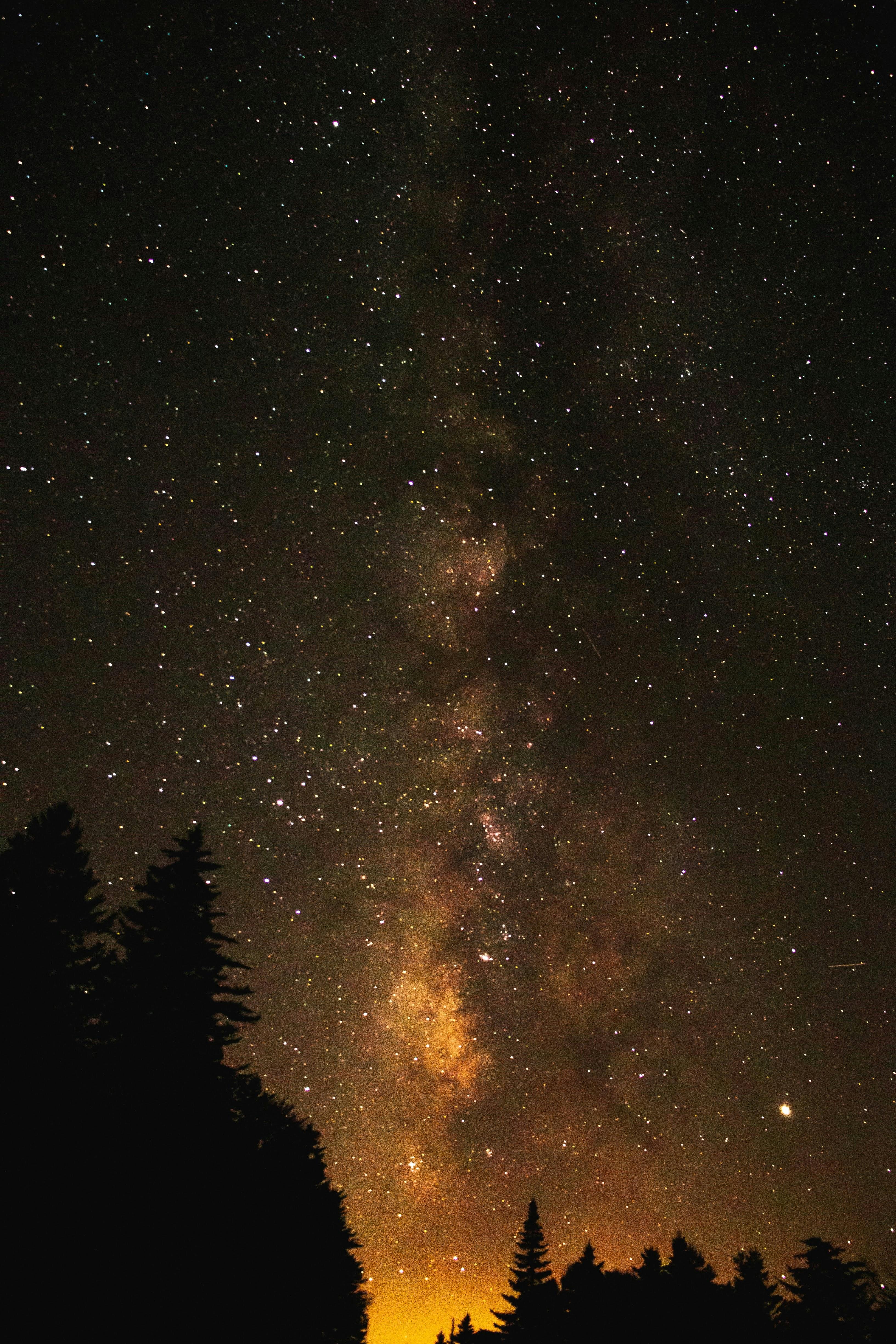 Milky Way Over Forest Night Sky