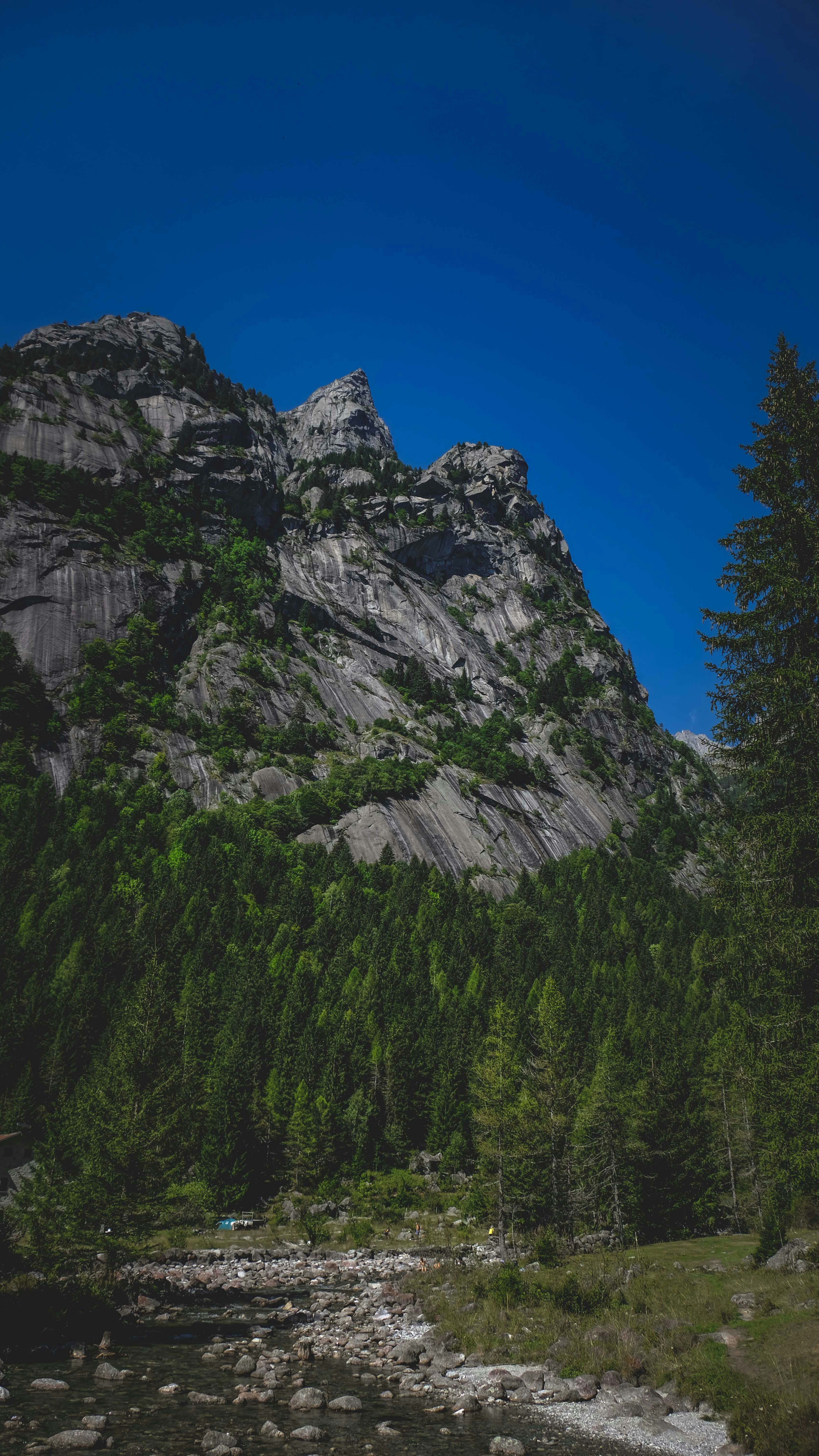 Wallpapers