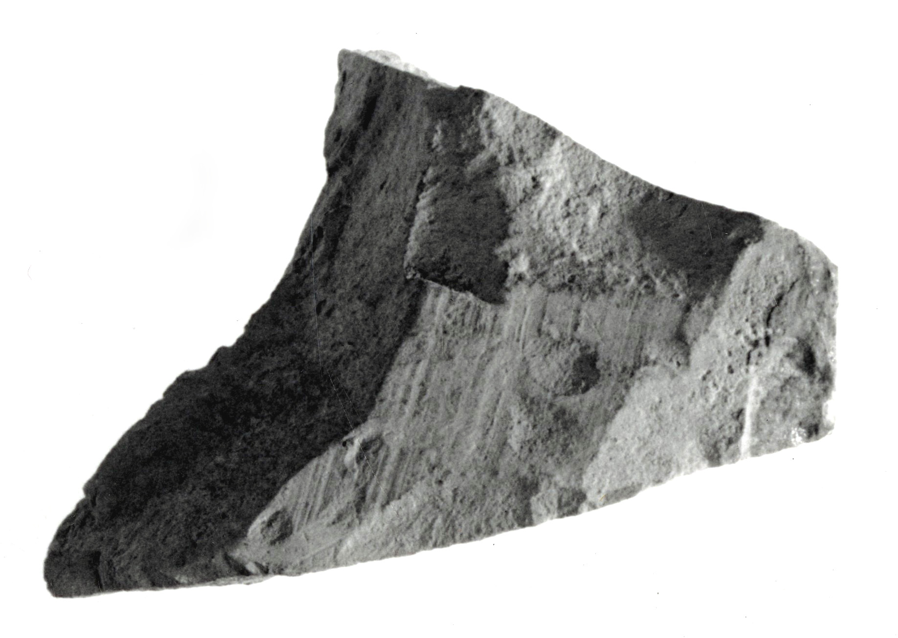 Archaeological Pottery Shard