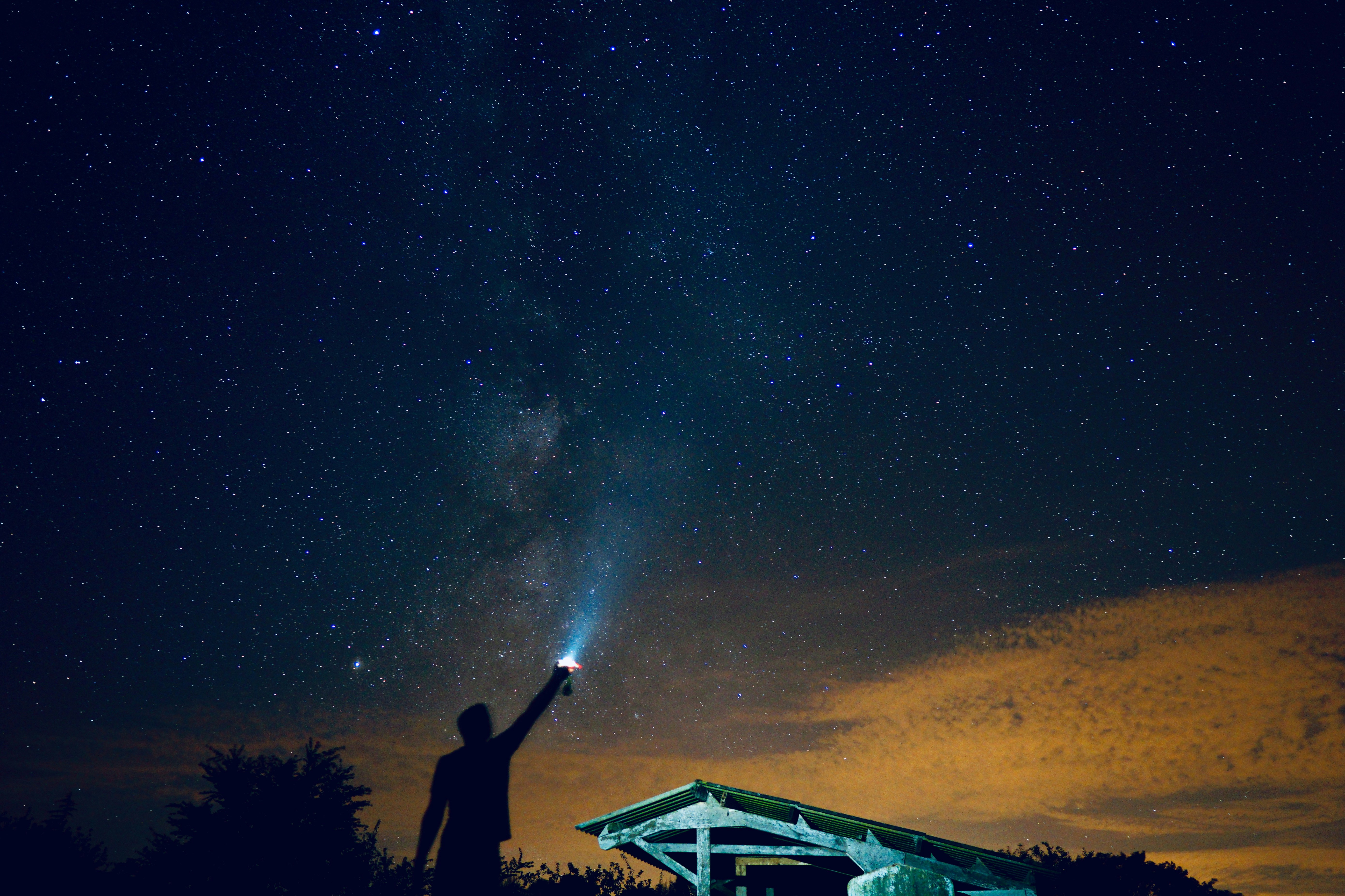 Reaching For Stars On Starry Night
