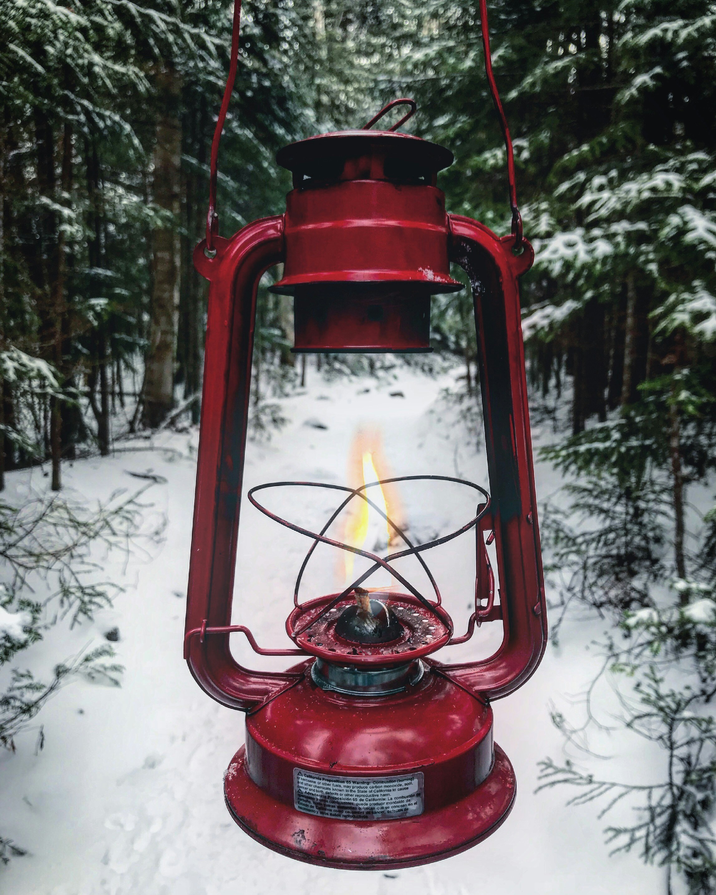 Red Lantern Over Snowy Forest Path