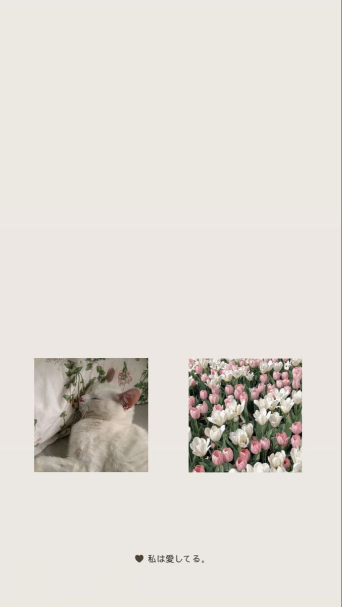 Wallpapers