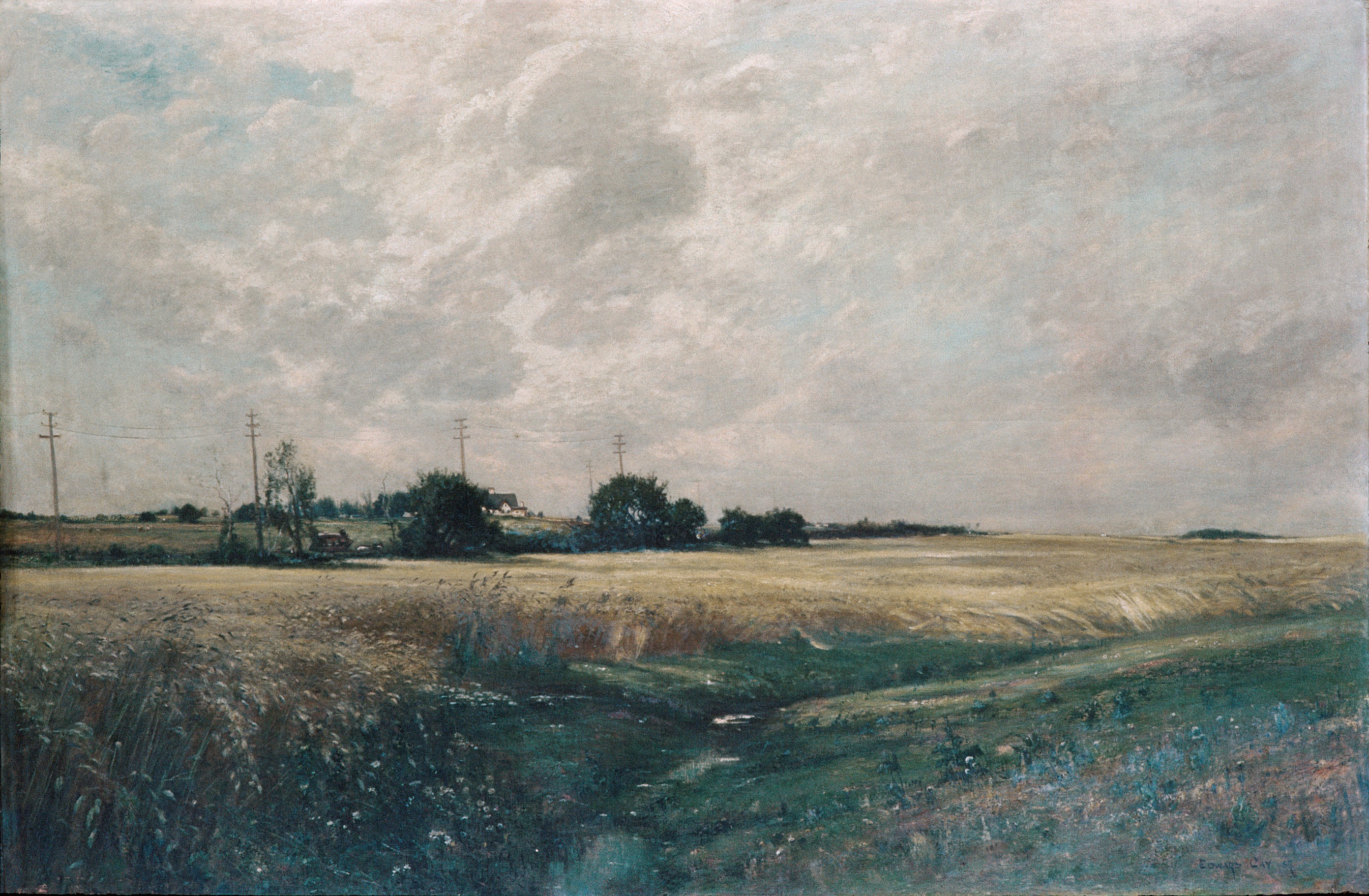 Rural Grain Field Landscape