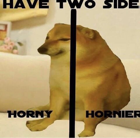 Two Sided Cheems Dog Meme