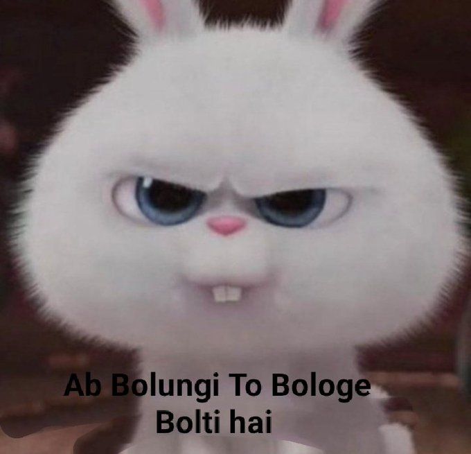Angry Rabbit Hindi Meme