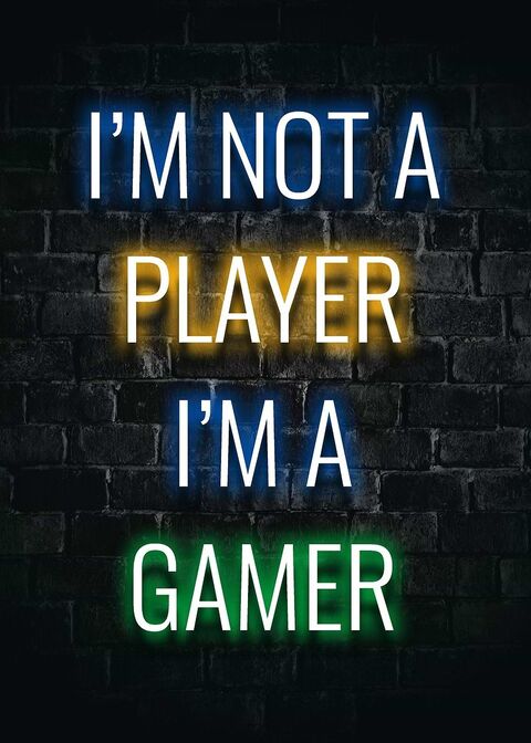 I'm Not A Player I'm A Gamer Quote