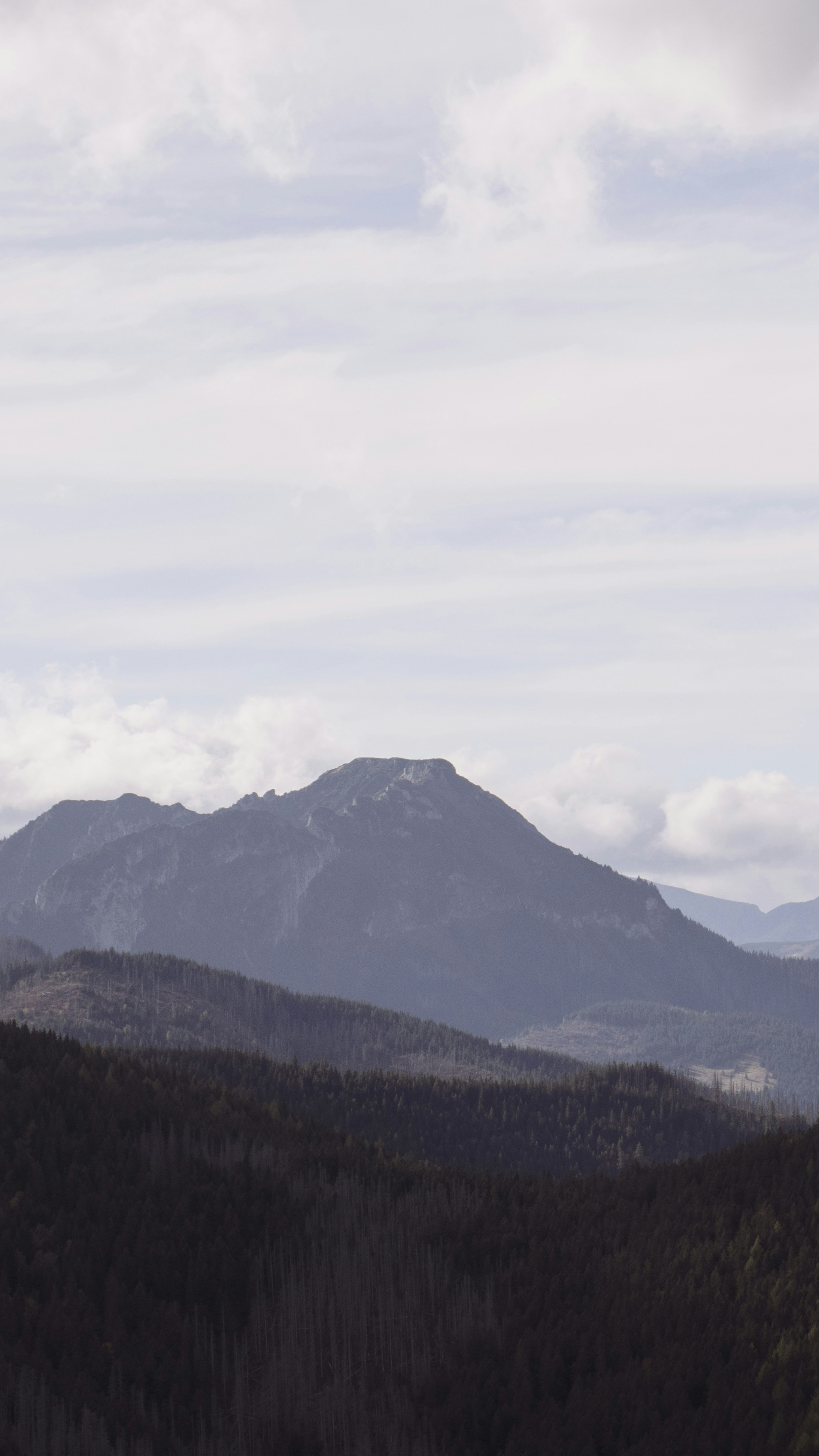 Landscapes