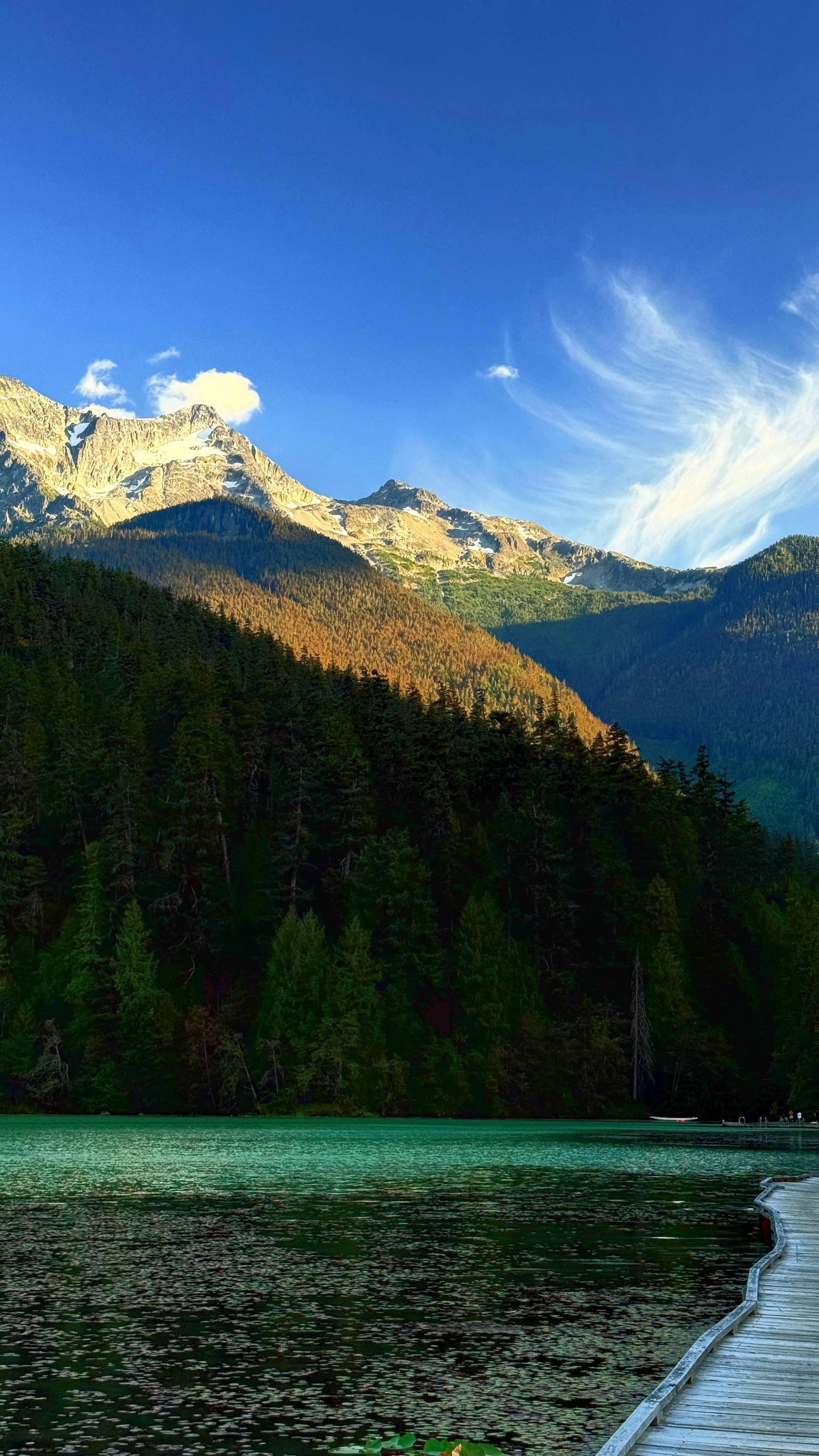 Landscapes