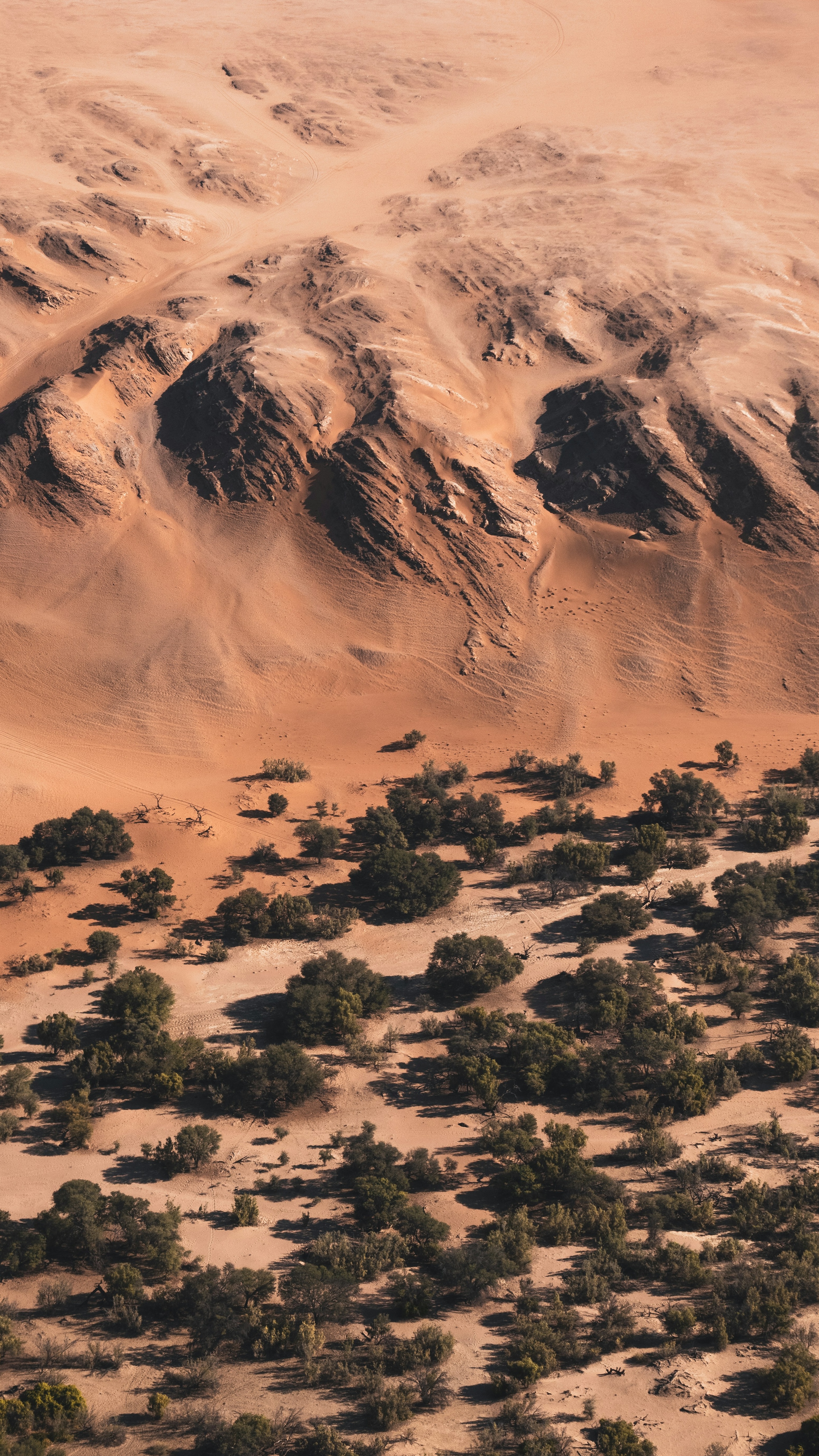 Aerial View of Desert Landscape