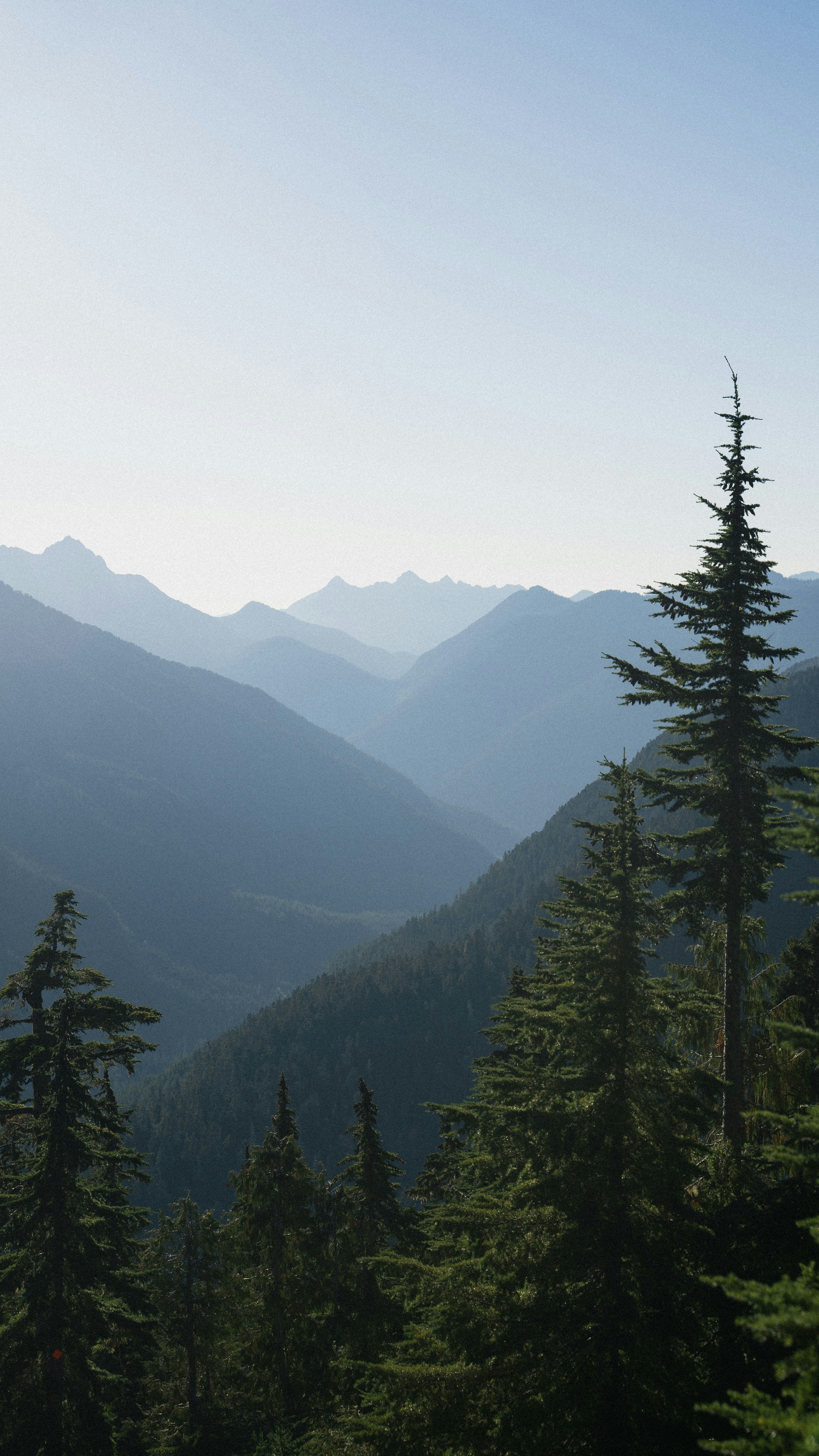 Landscapes