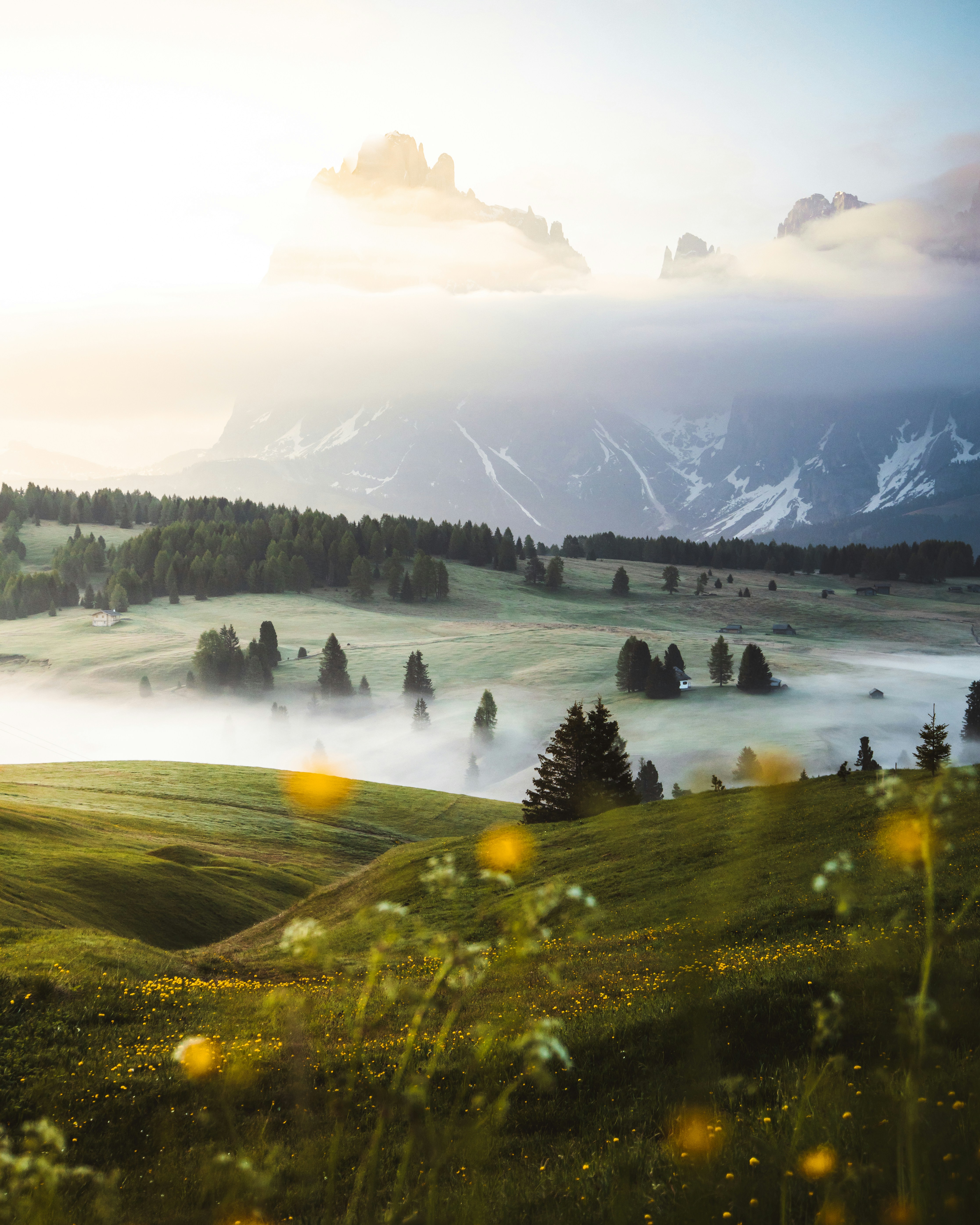 Alpine Meadow Morning Mountain Landscape