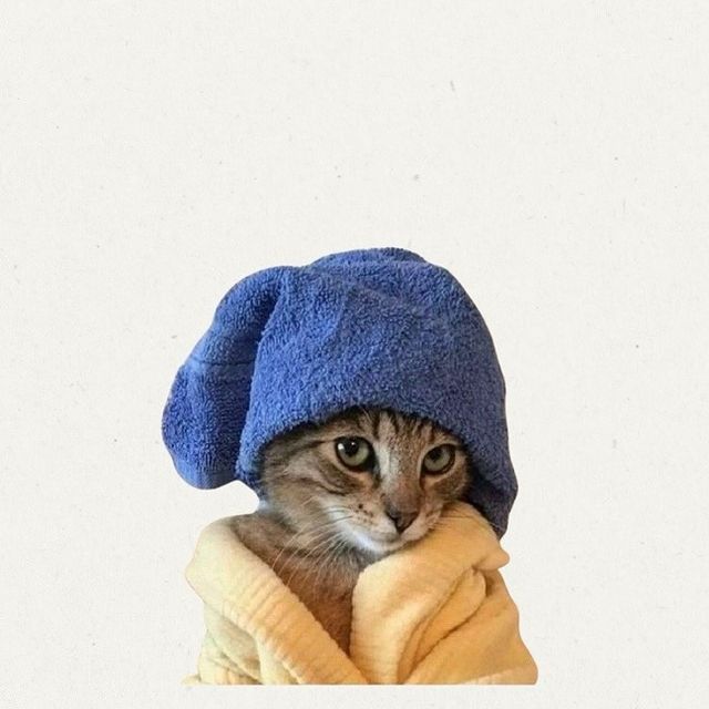 Cat in Bath Towel and Robe