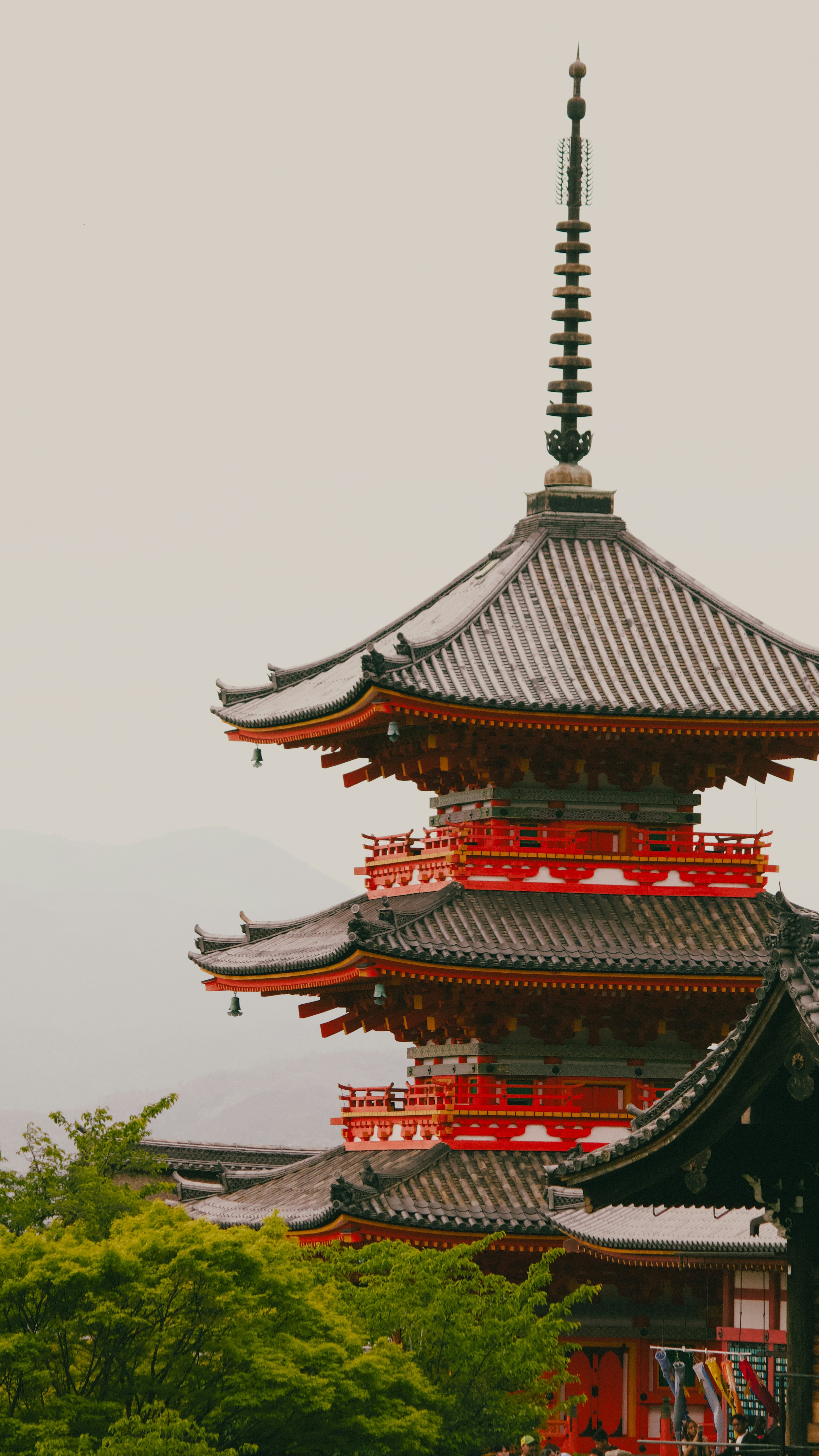 Wallpapers