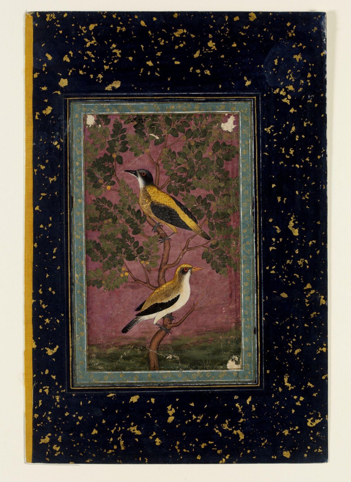 Two Birds on a Tree Miniature Painting
