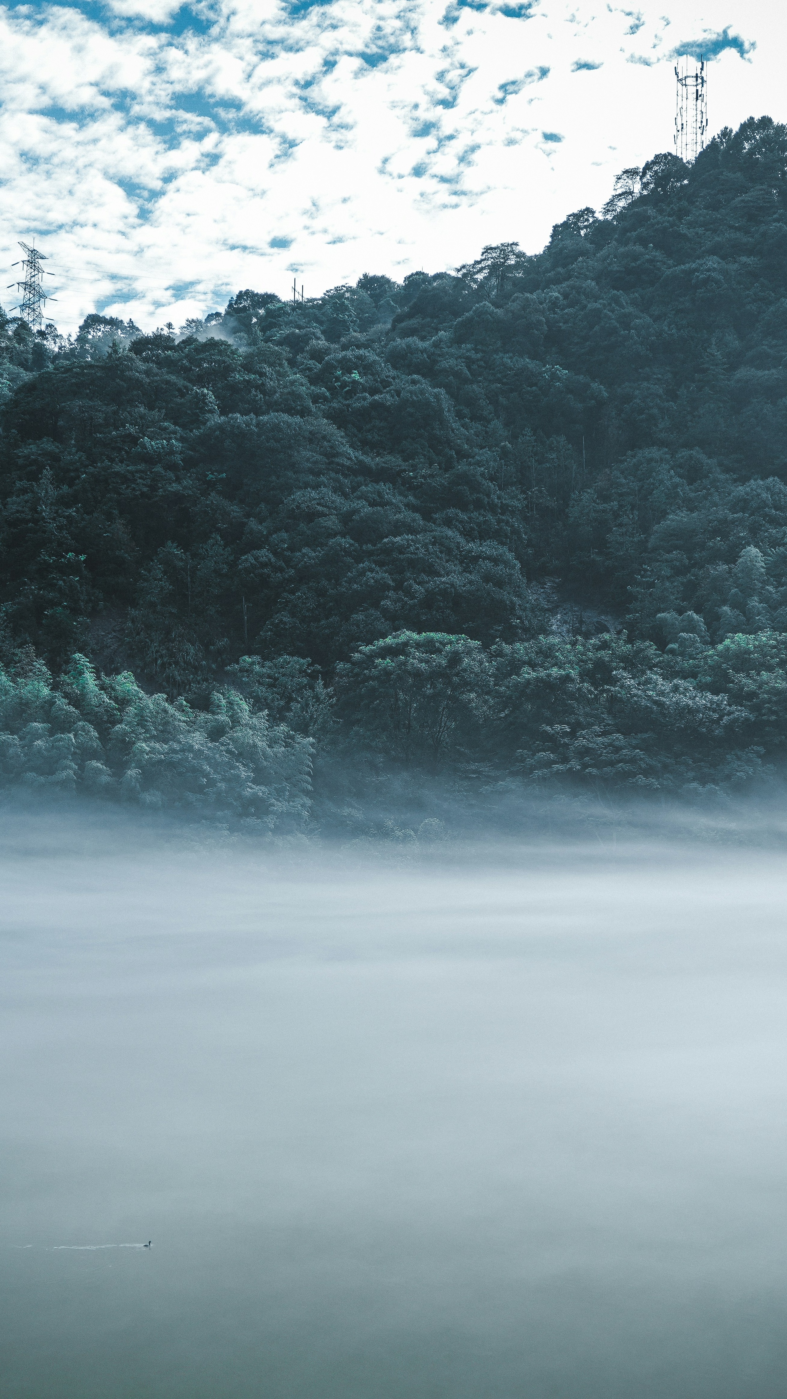 Landscapes