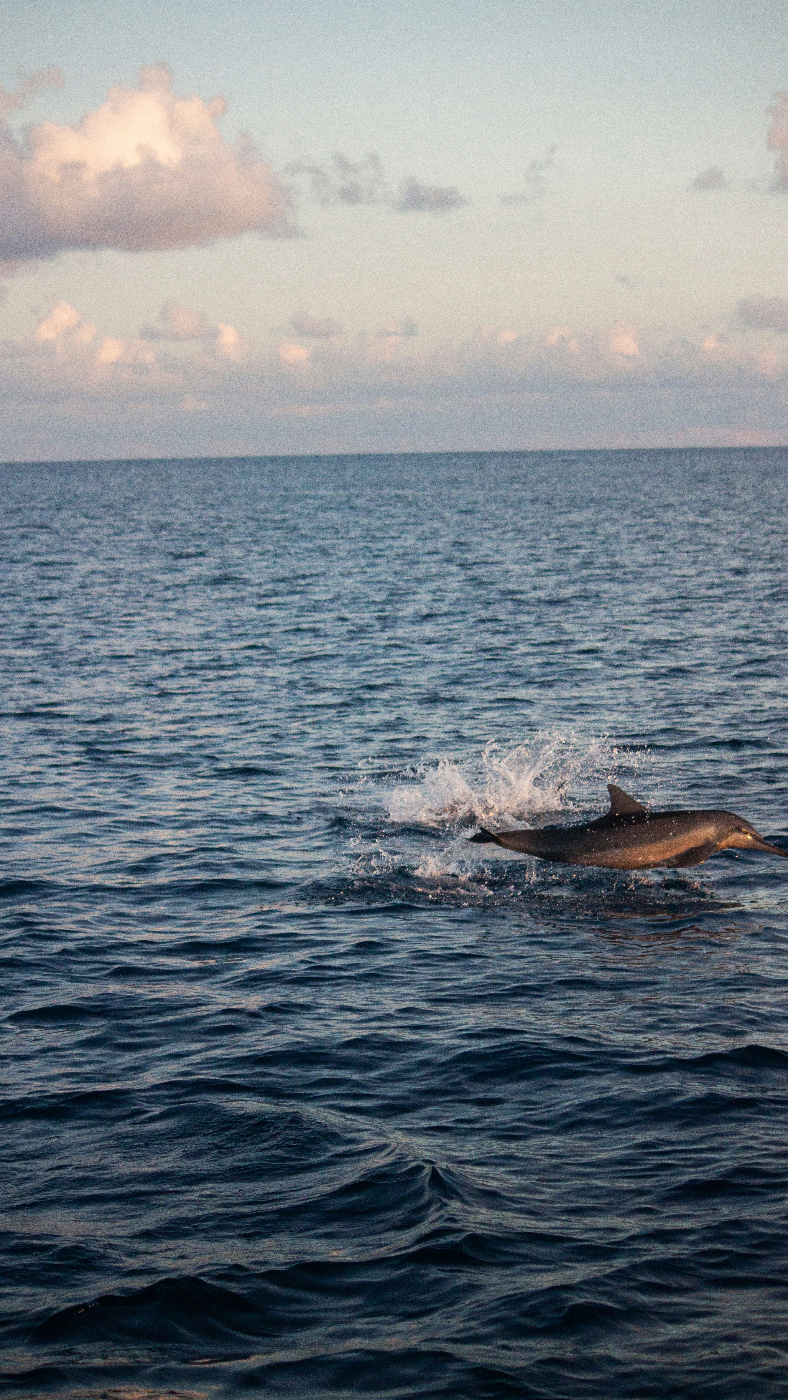Ocean World