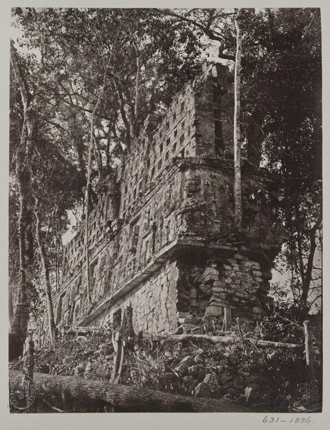 Ancient Ruin Overgrown by Jungle