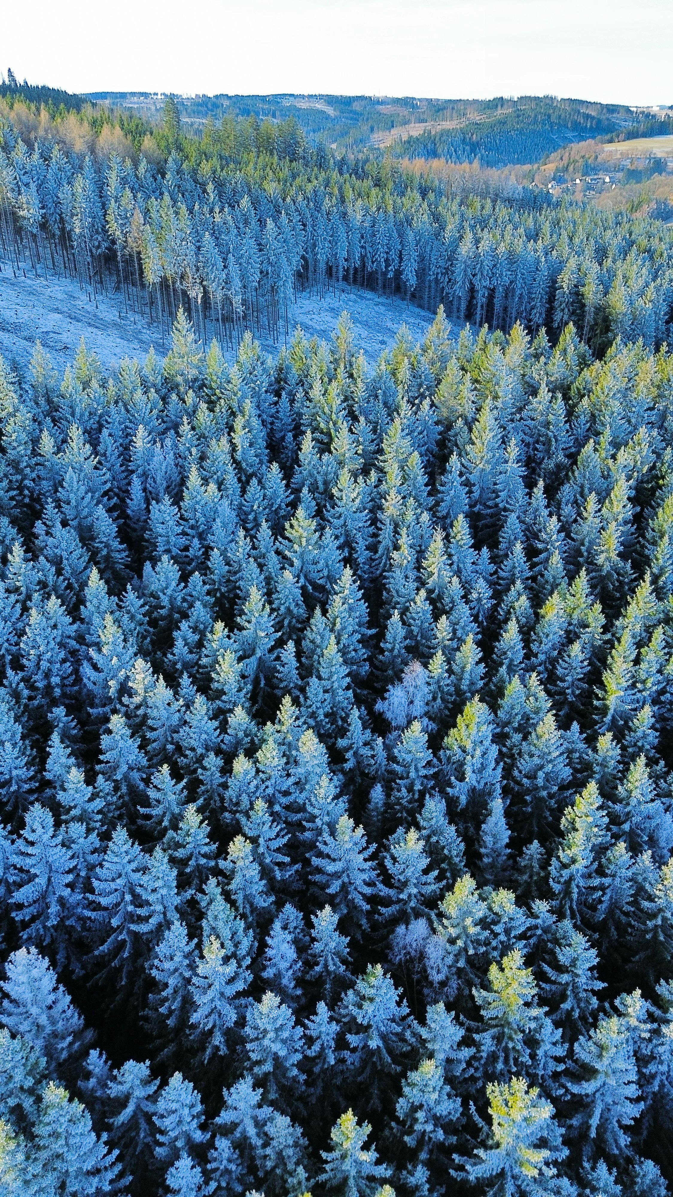Wallpapers