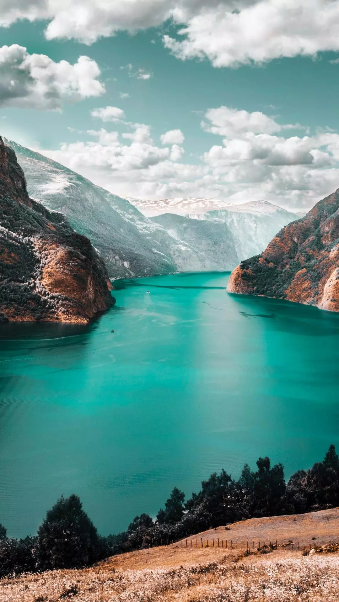 Wallpapers