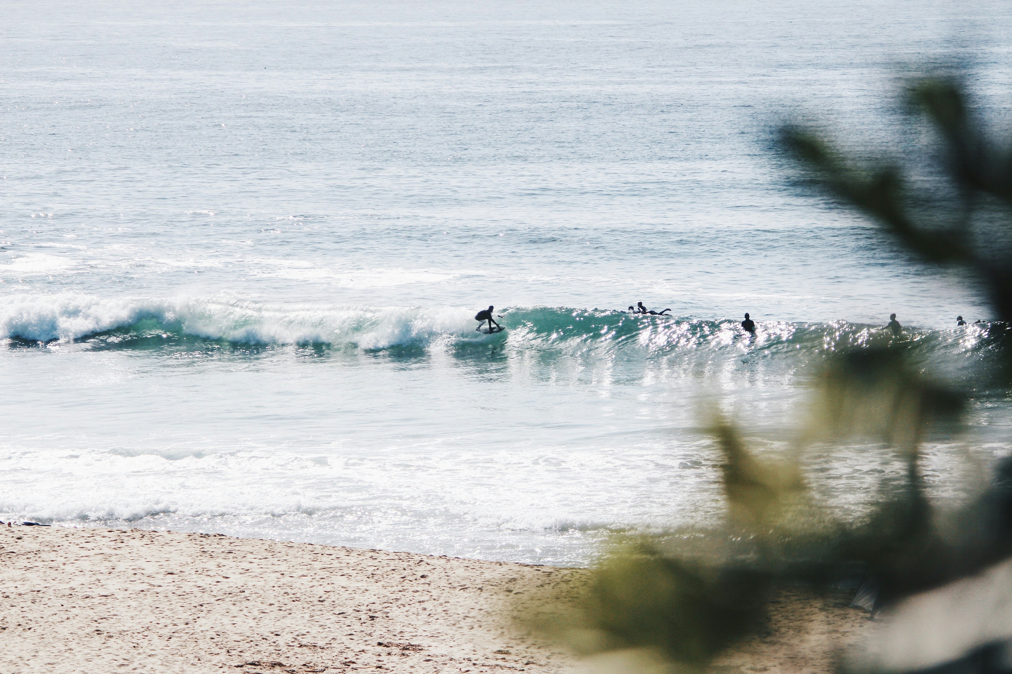Surfers Riding Waves at Beach