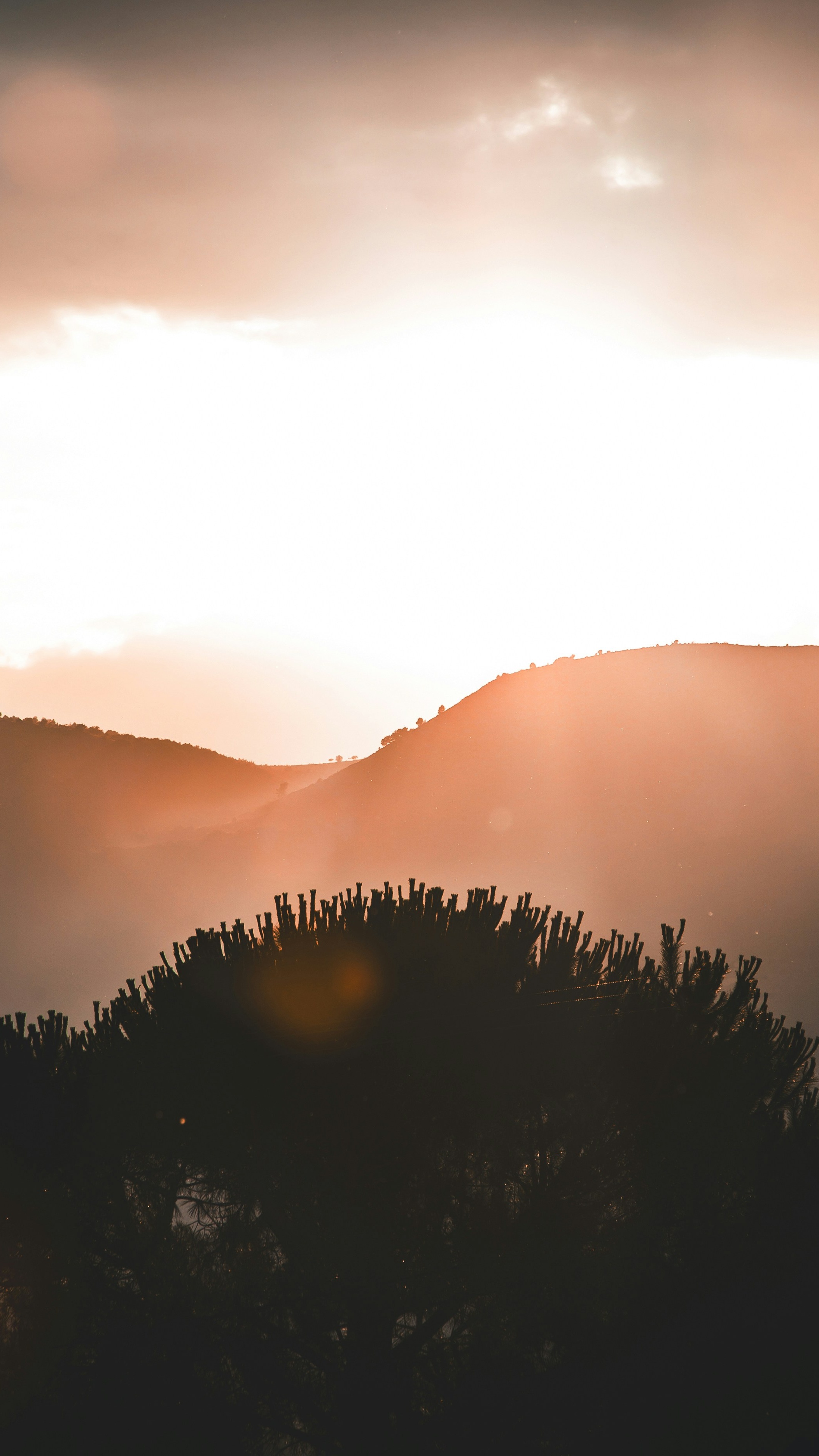 Landscapes