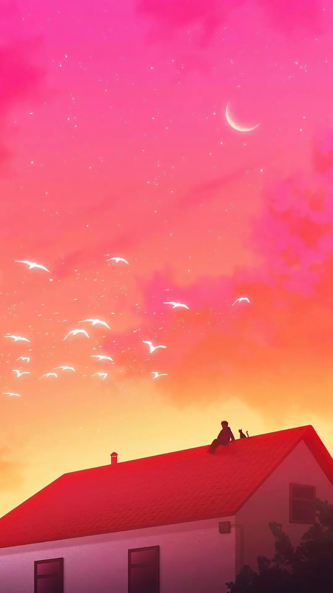 Wallpapers