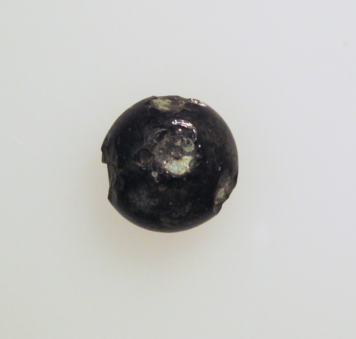 Damaged Black Spherical Rock Specimen