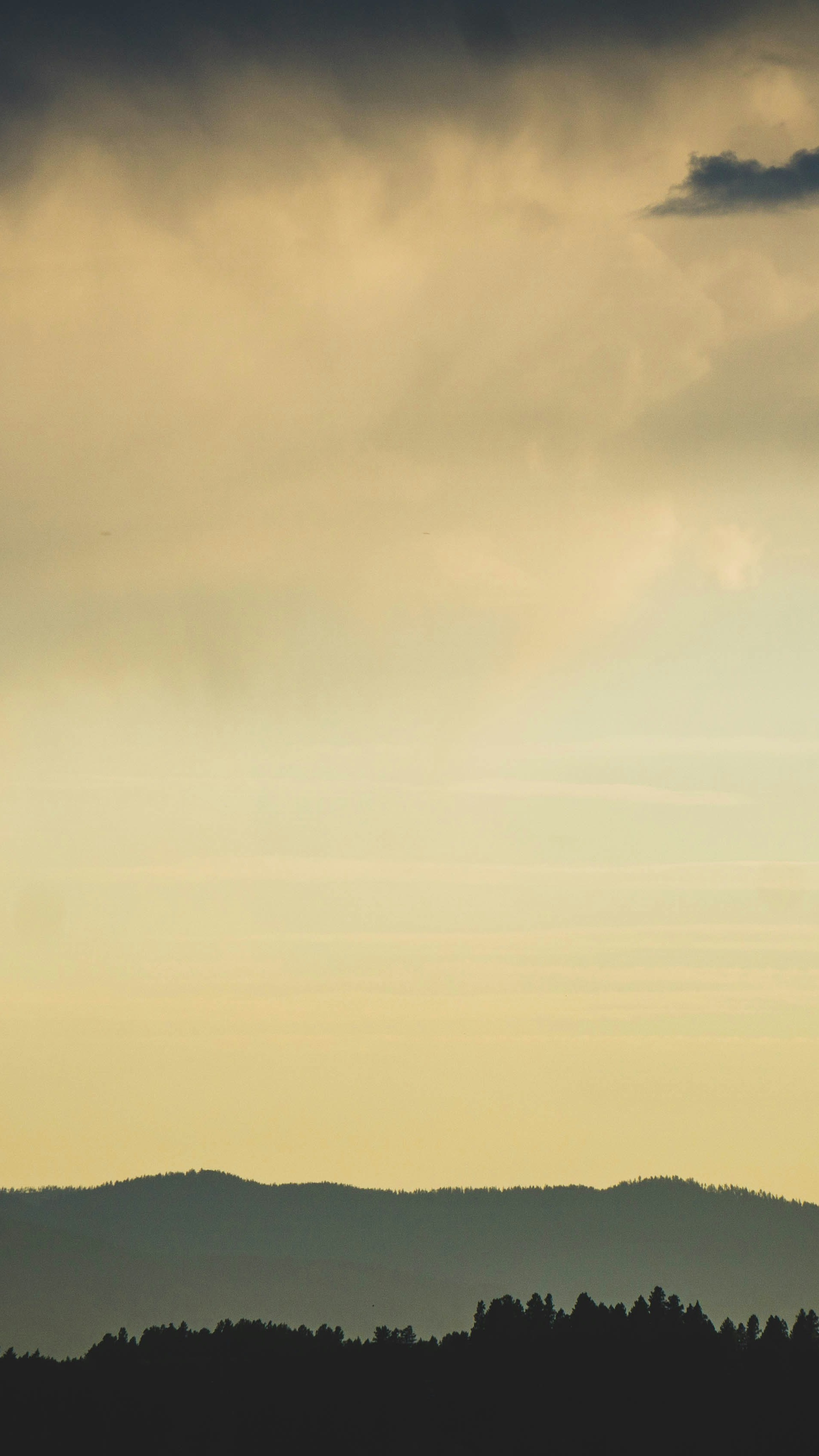 Landscapes