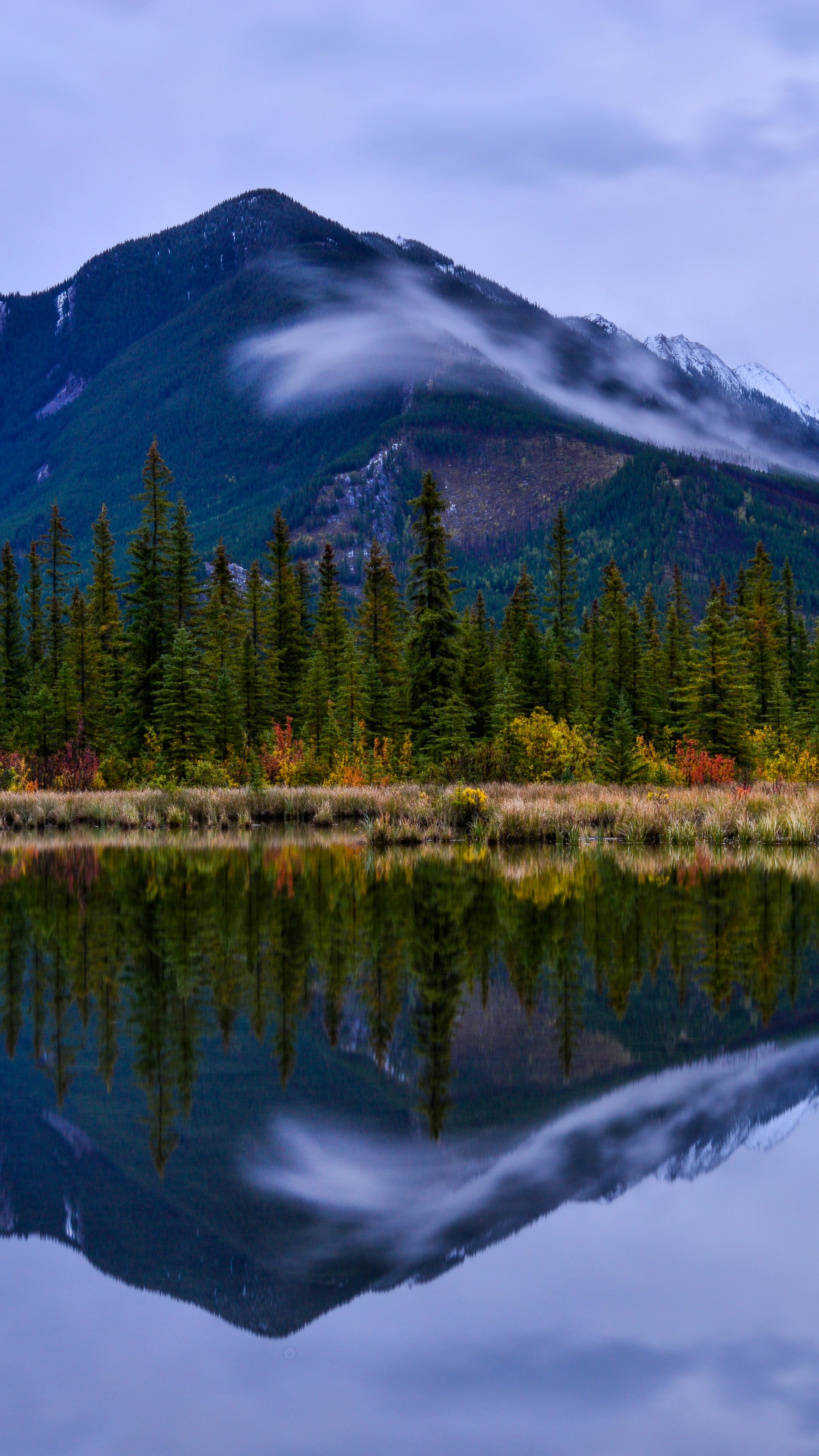 Landscapes