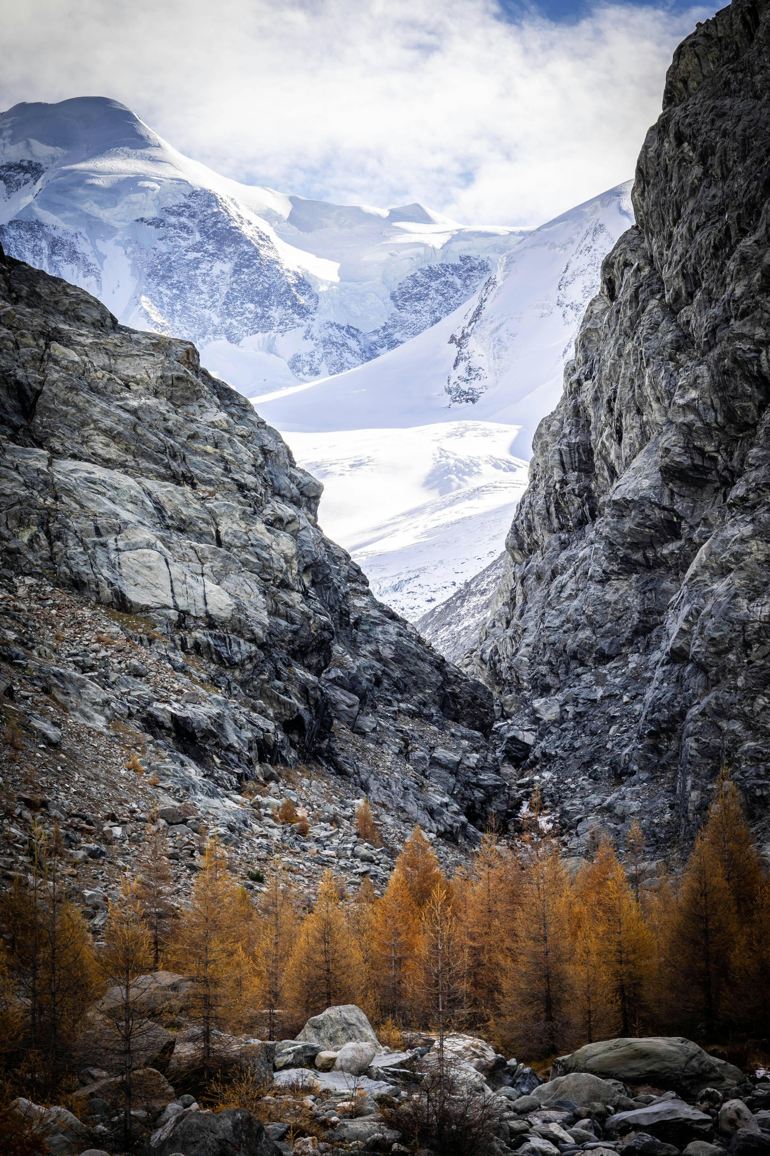 Autumn Mountain Gorge With Snowy Peaks