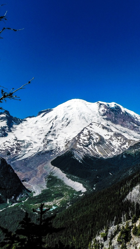Snow-Capped Mount Rainier